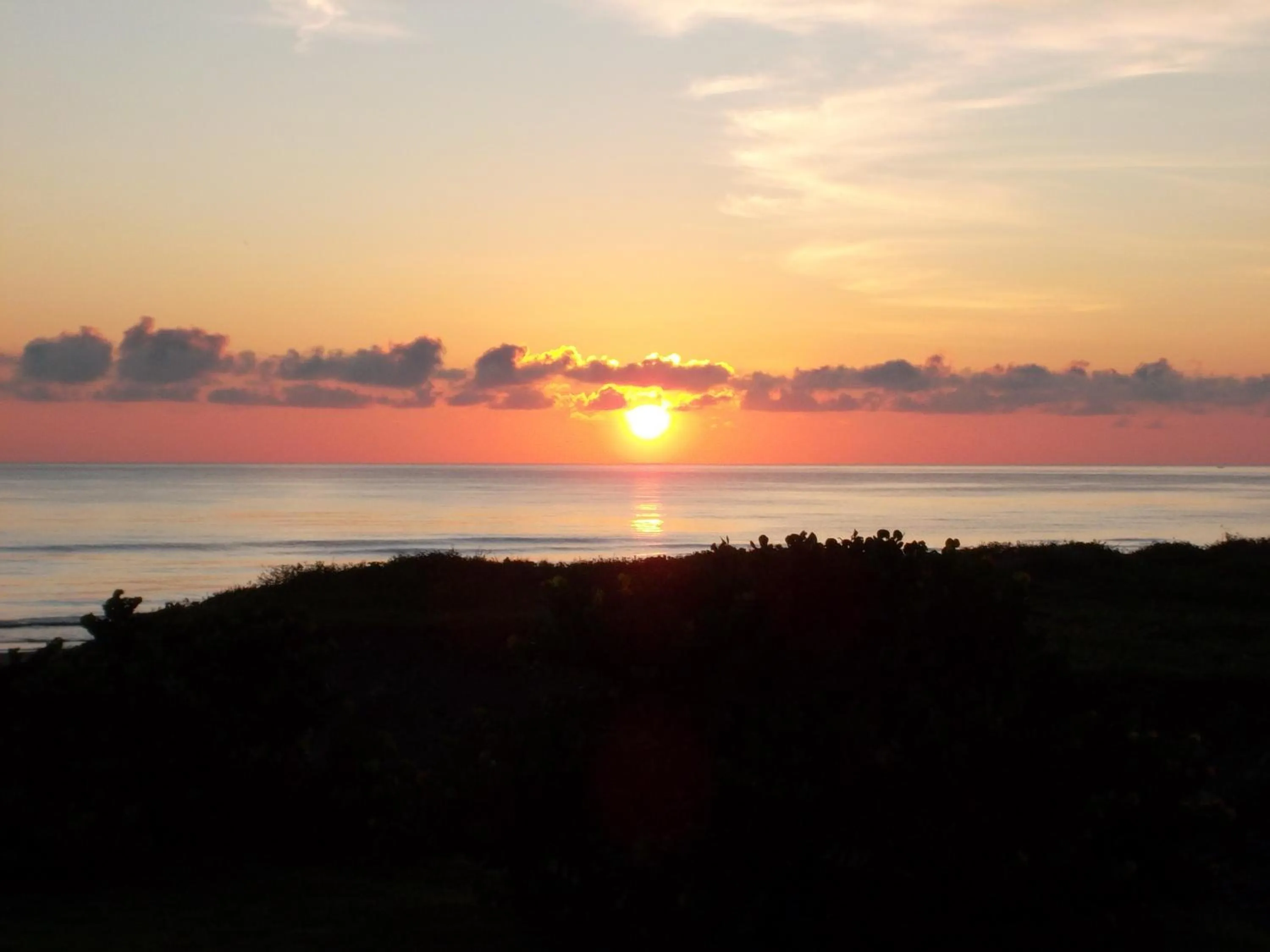 Natural landscape in Hotel Boca de Ovejas