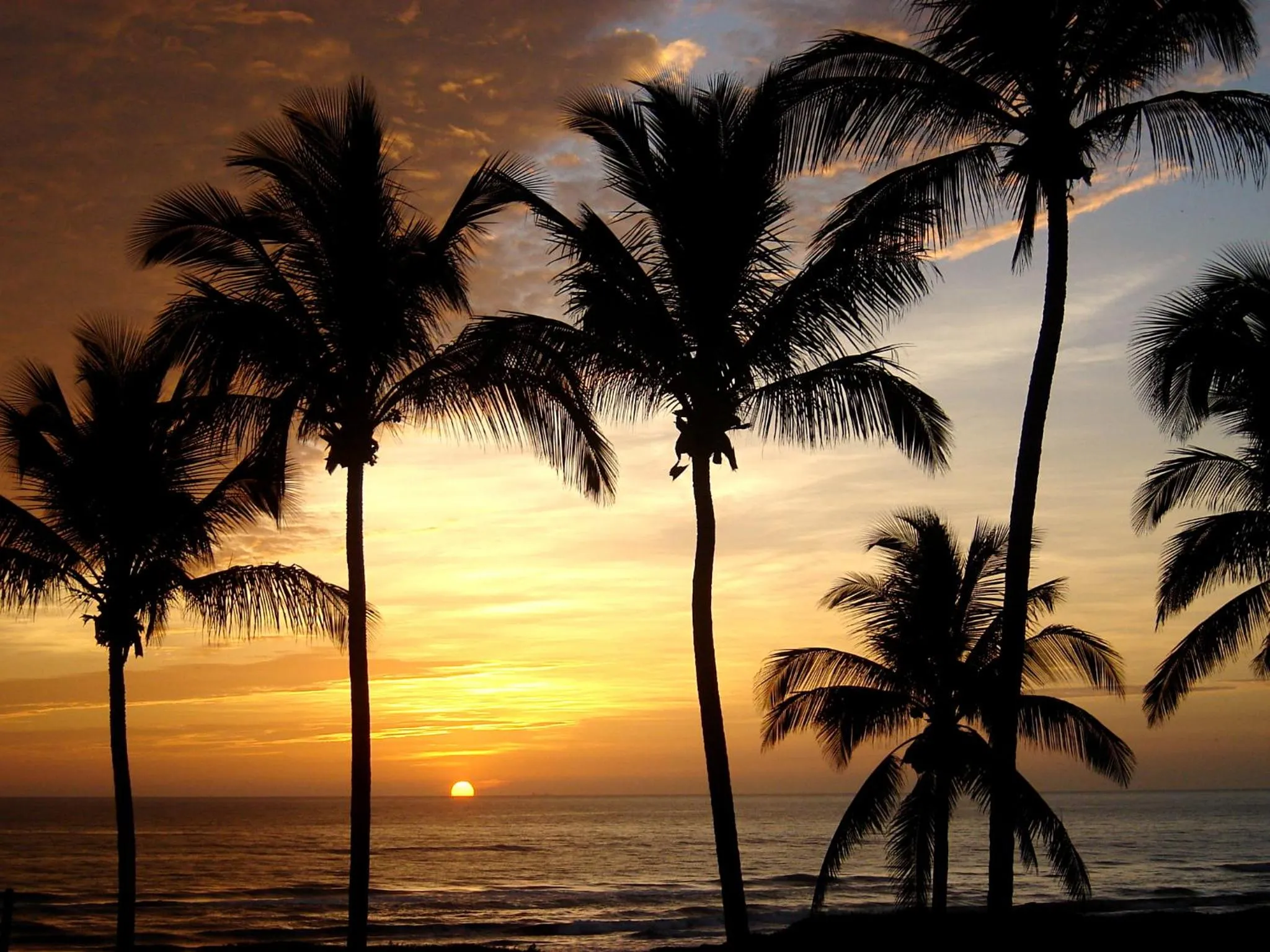 Property building in Hotel Boca de Ovejas