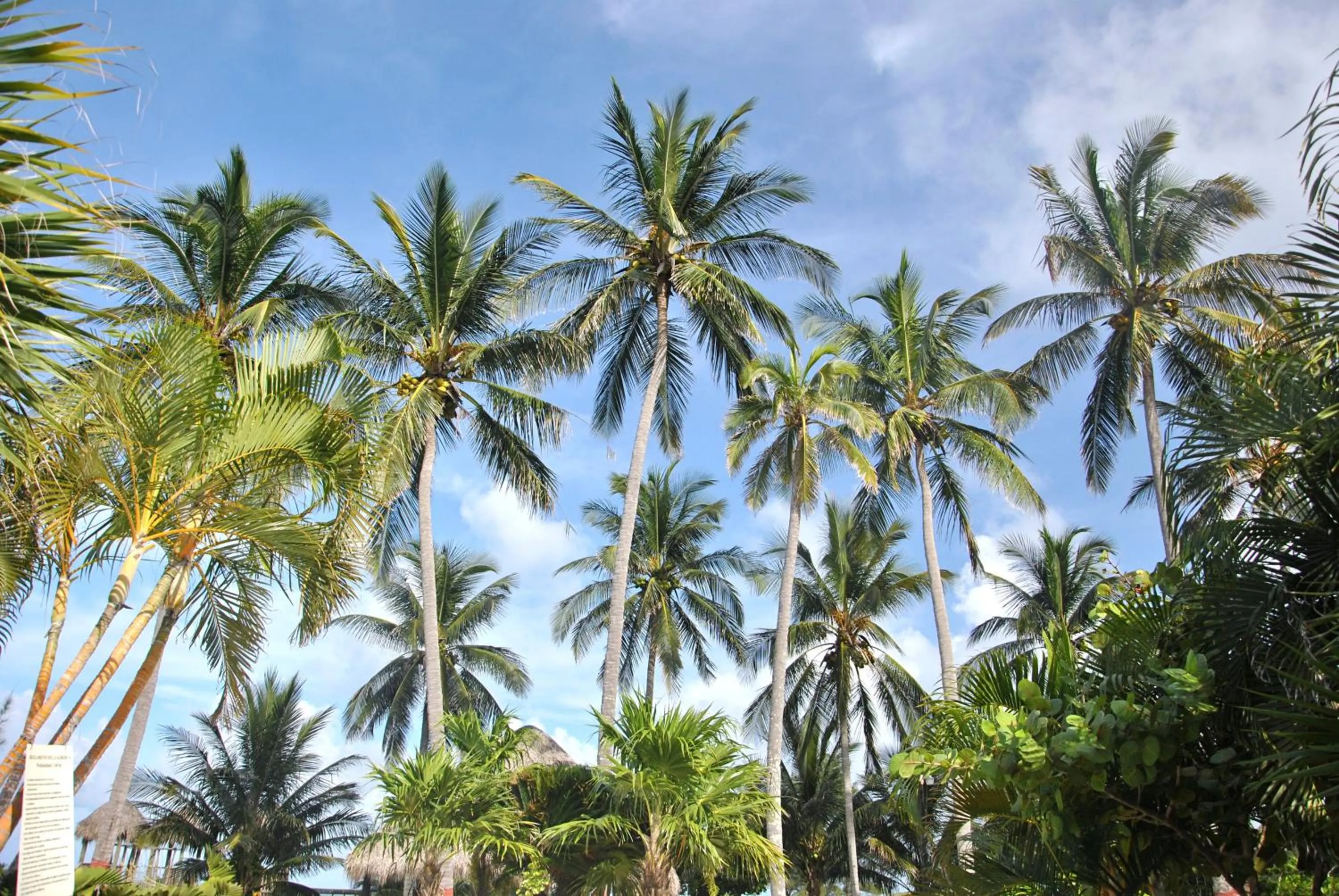 Property building in Hotel Boca de Ovejas