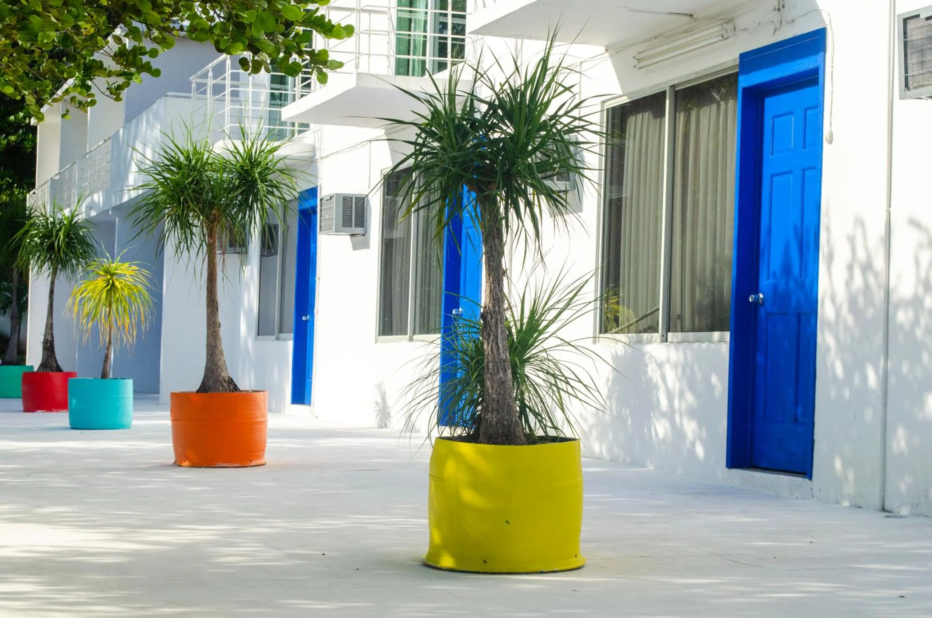 Hotel Boca de Ovejas