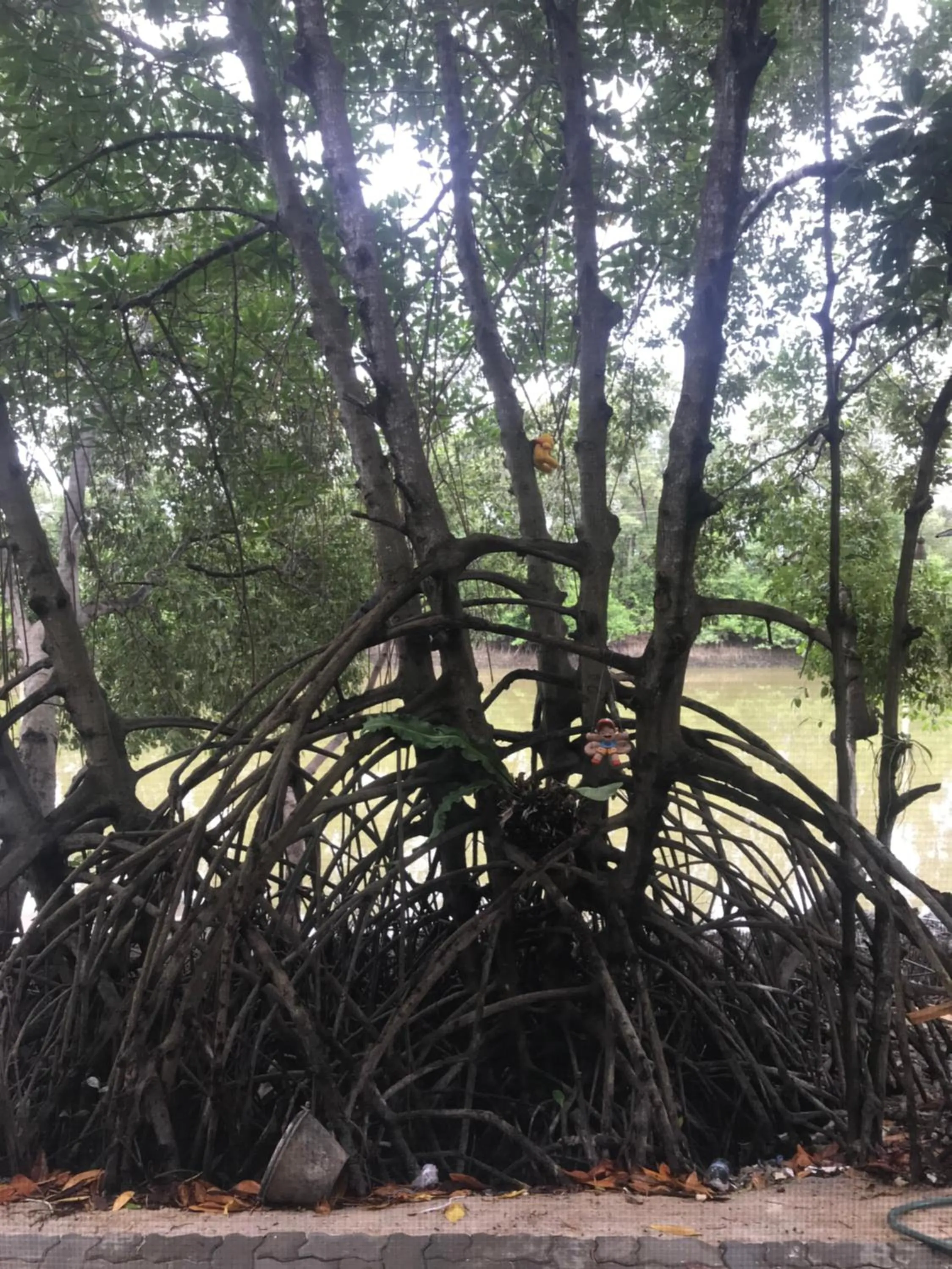 Baan Bon Resort Bang Tabun