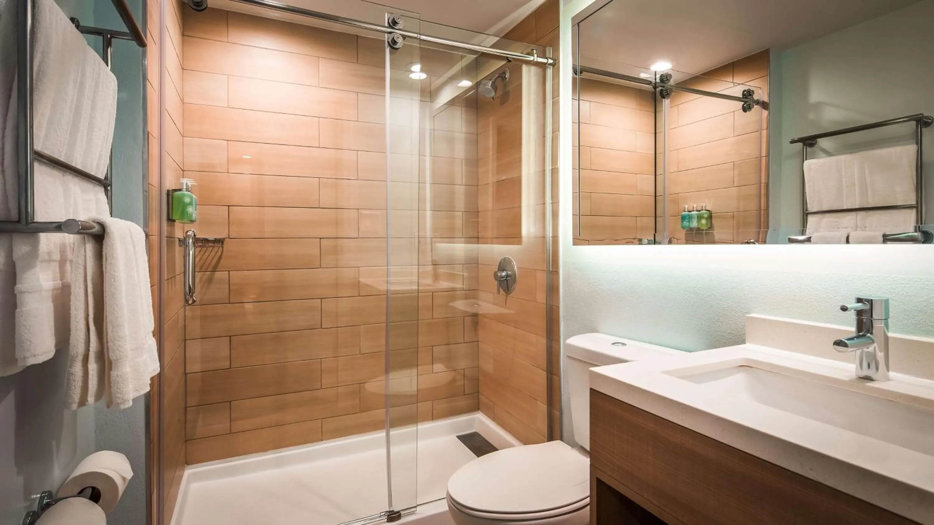 Bathroom in Best Western Beachside Inn