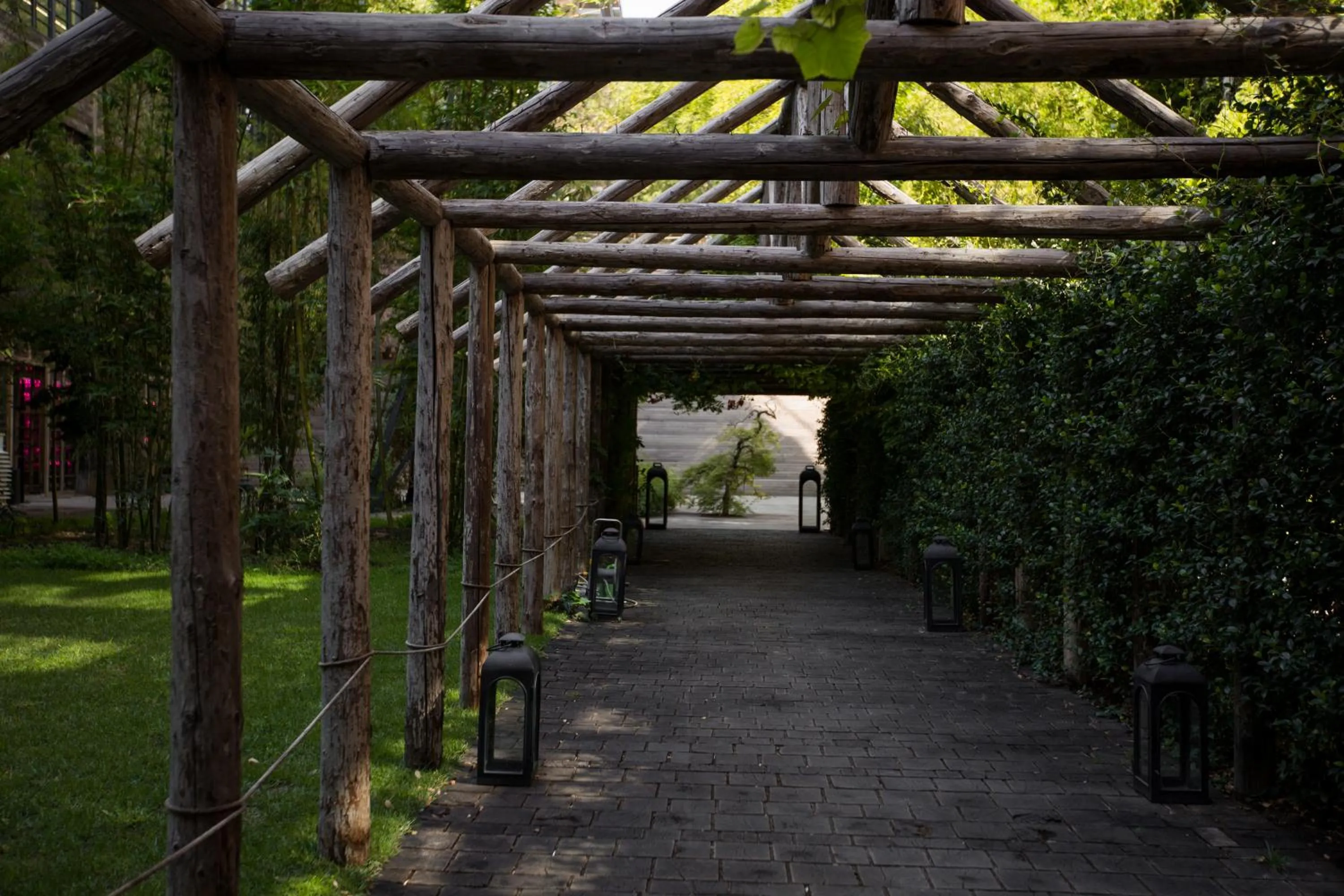 Garden in Stamba Hotel