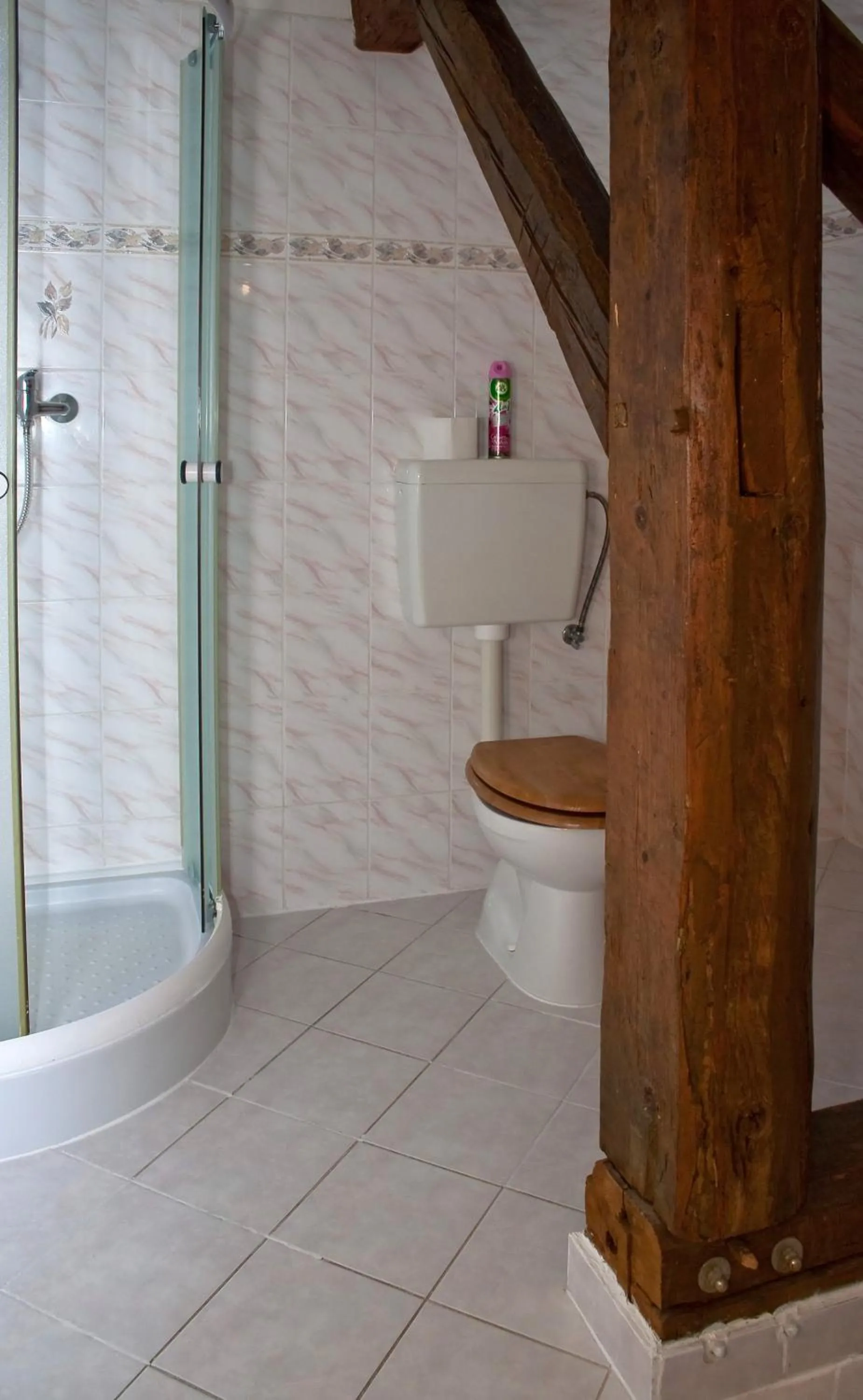 Shower in Penzion u Vodopádu