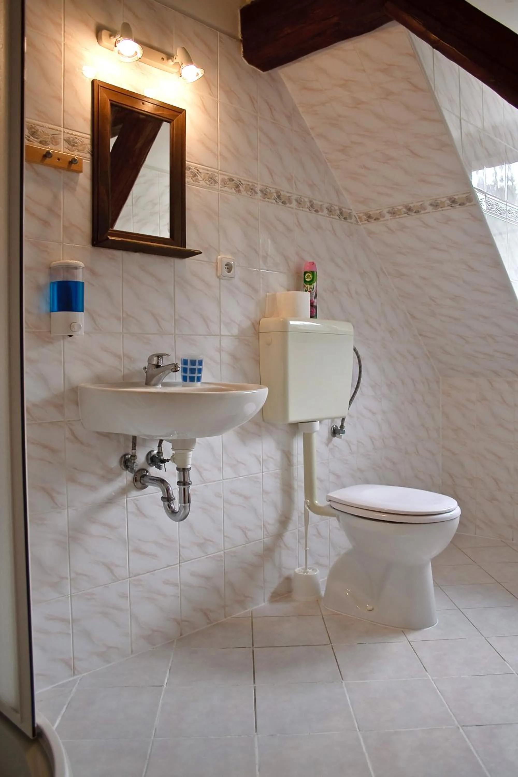 Shower in Penzion u Vodopádu