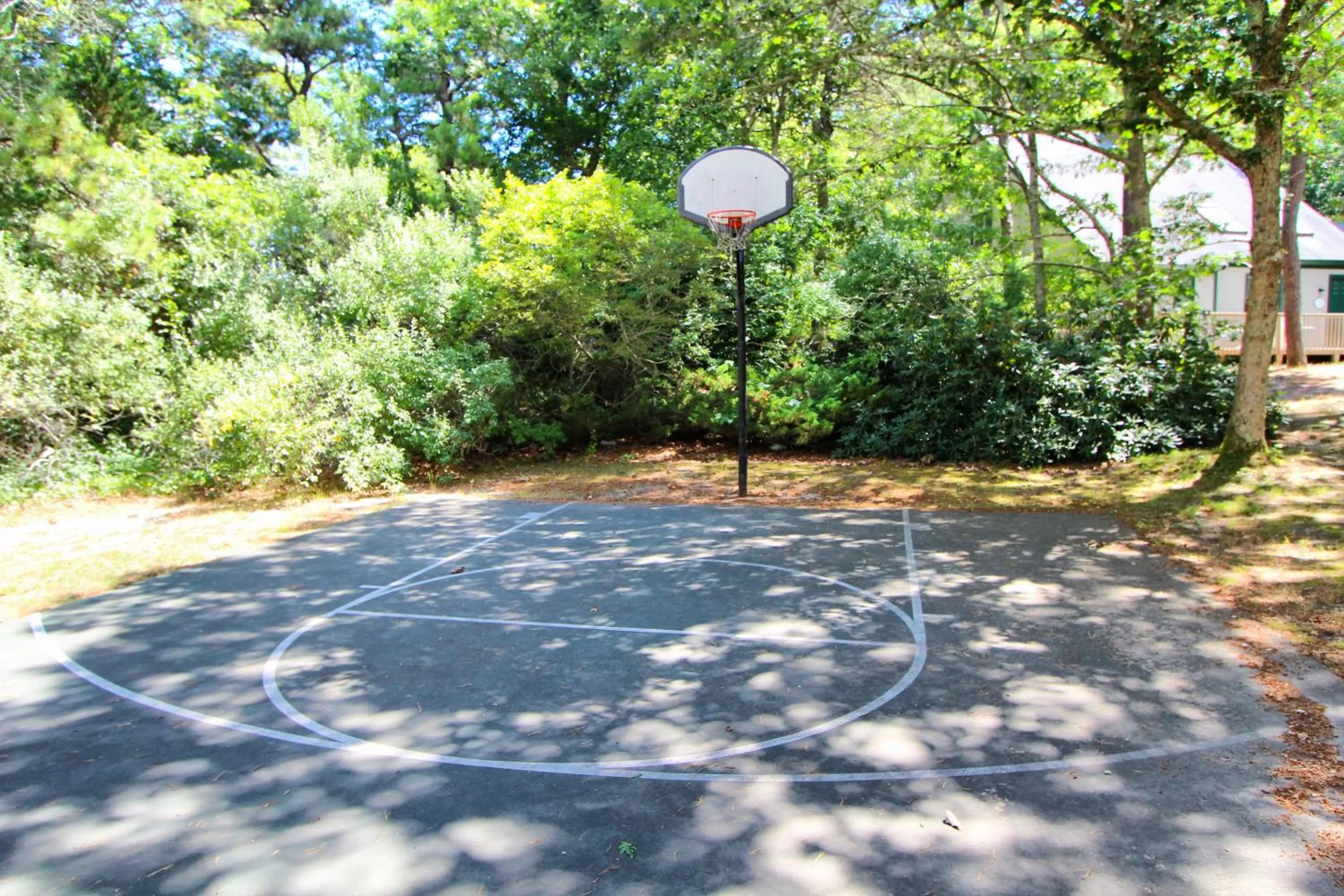 Sports in Cape Cod Holiday Estates