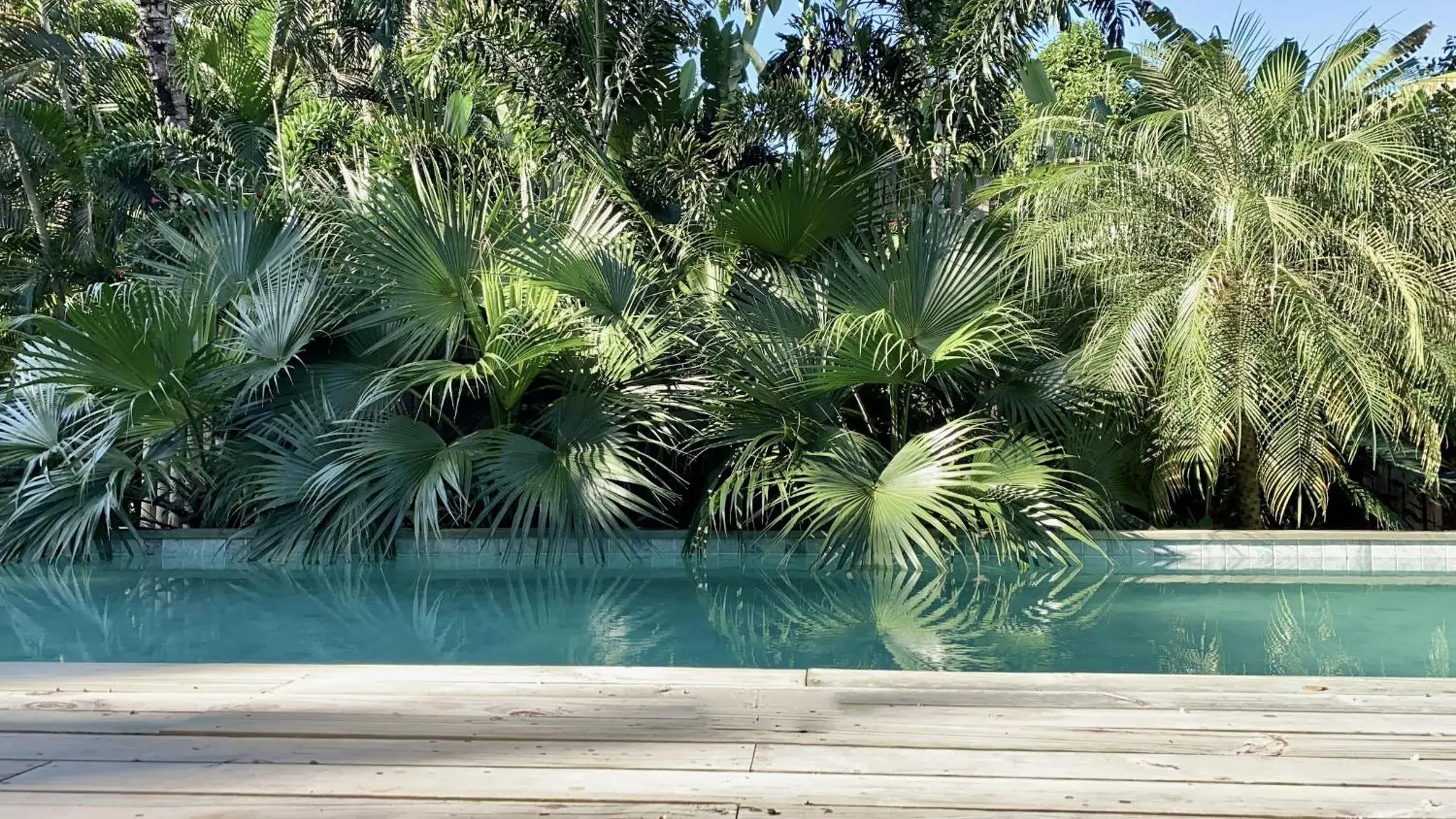 Swimming pool in Soleluna Casa Pousada Swimming pool in Soleluna Casa Pousada
