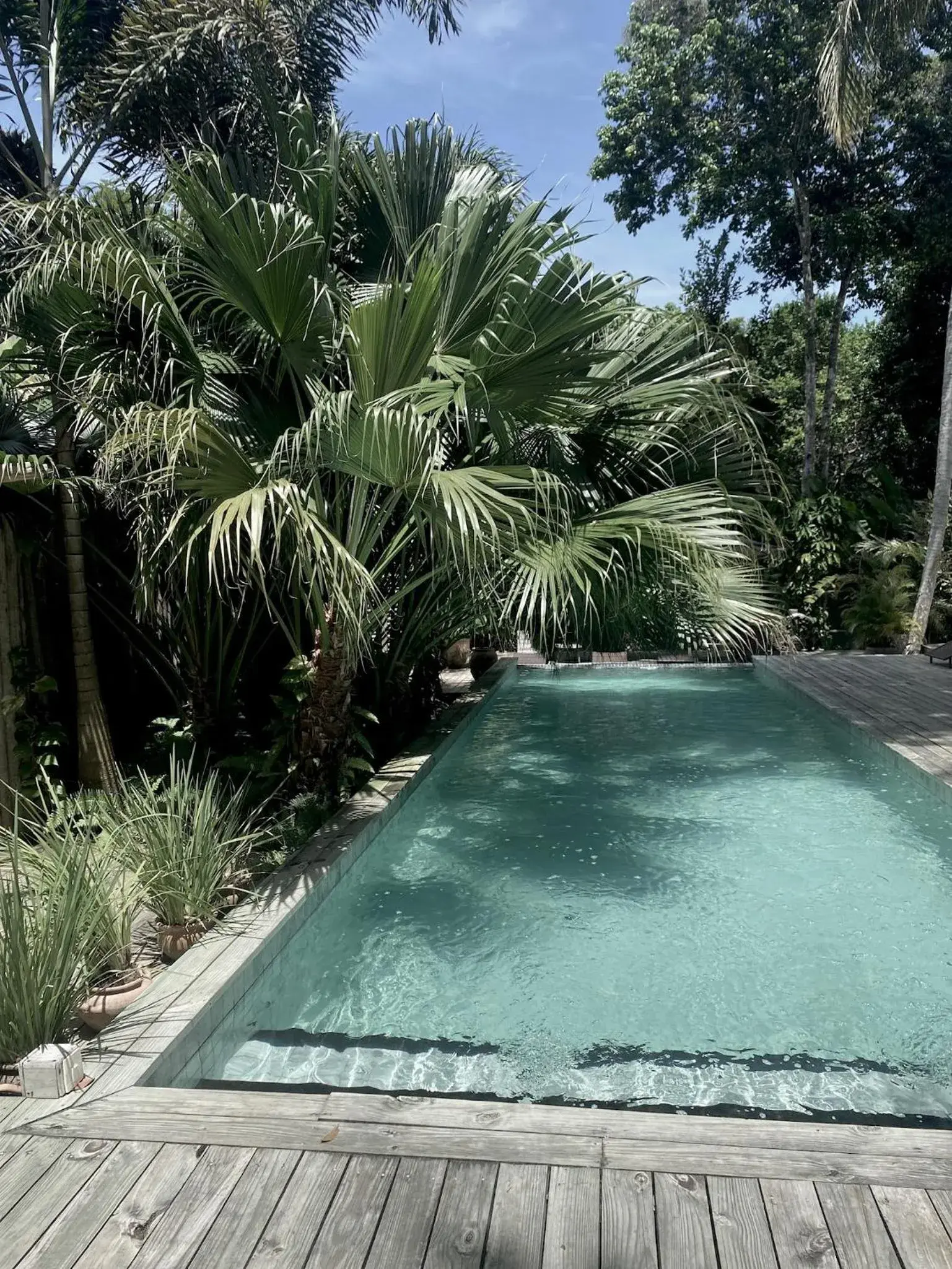 Pool view in Soleluna Casa Pousada Pool view in Soleluna Casa Pousada