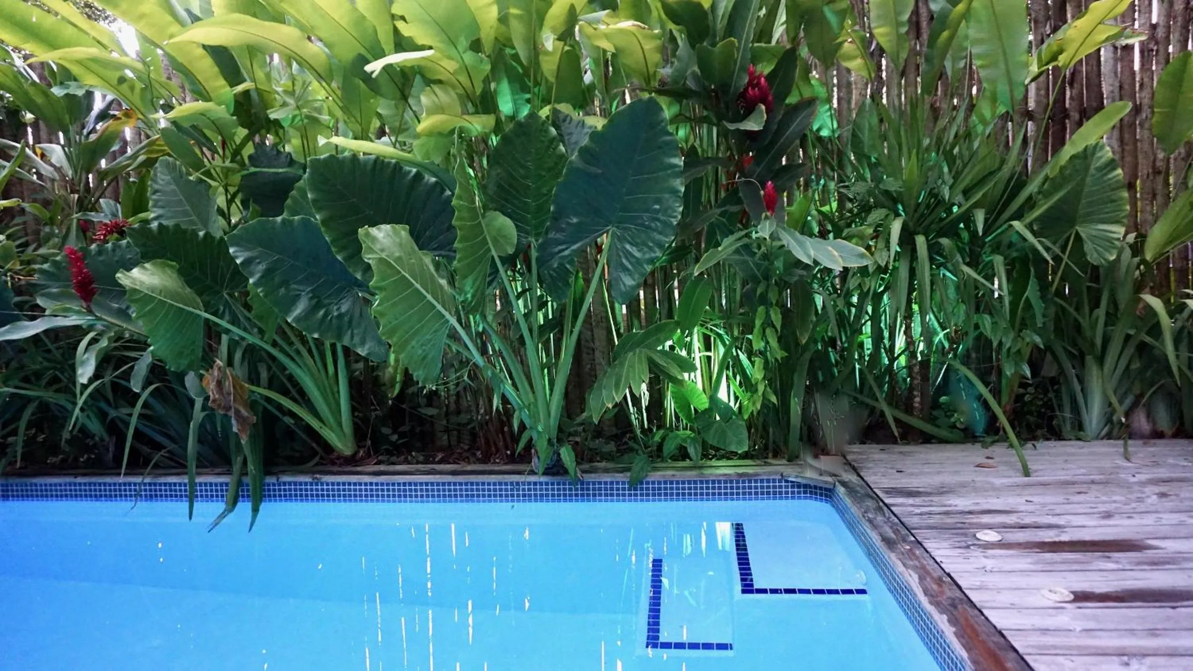 Pool view in Soleluna Casa Pousada