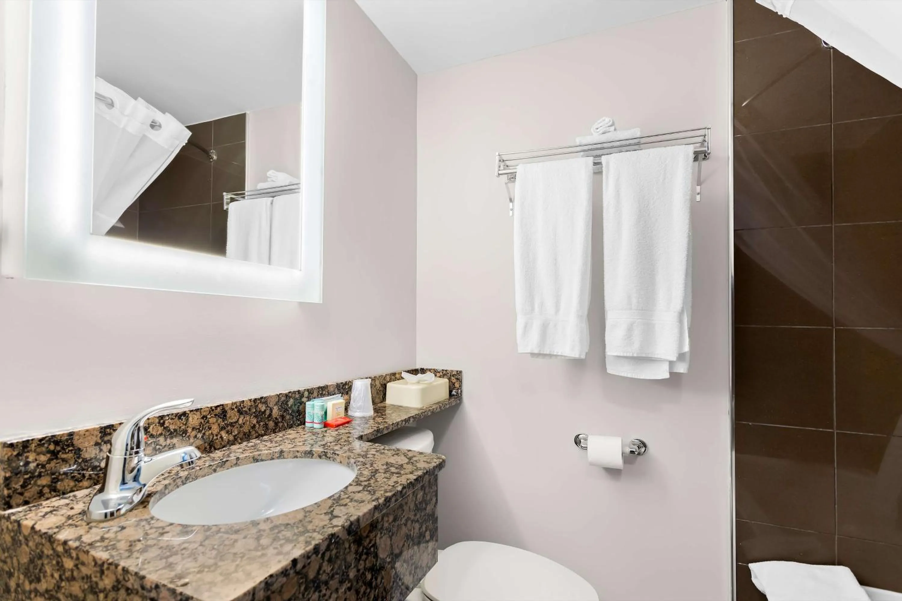 Bathroom in SureStay Plus by Best Western Windsor
