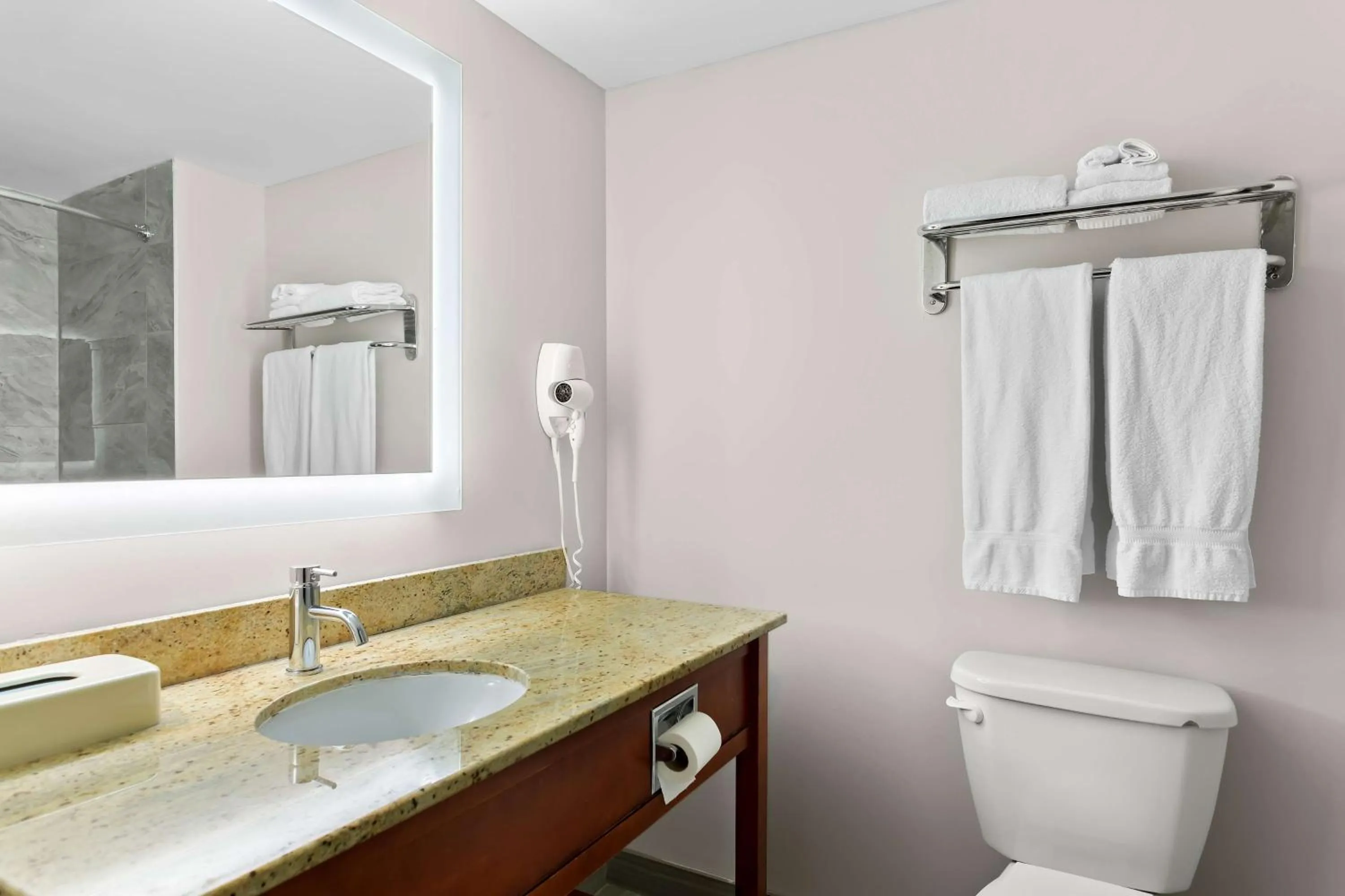Bathroom in SureStay Plus by Best Western Windsor