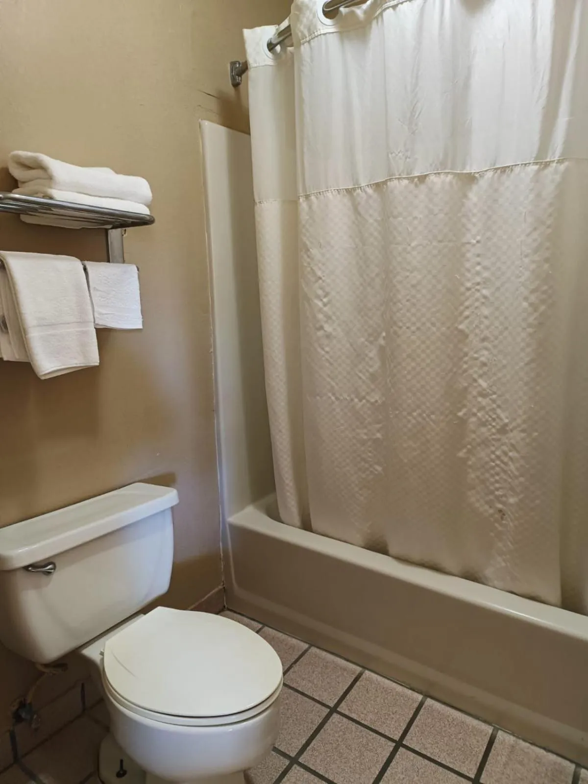 Bathroom in Executive Inn by OYO Kilgore North