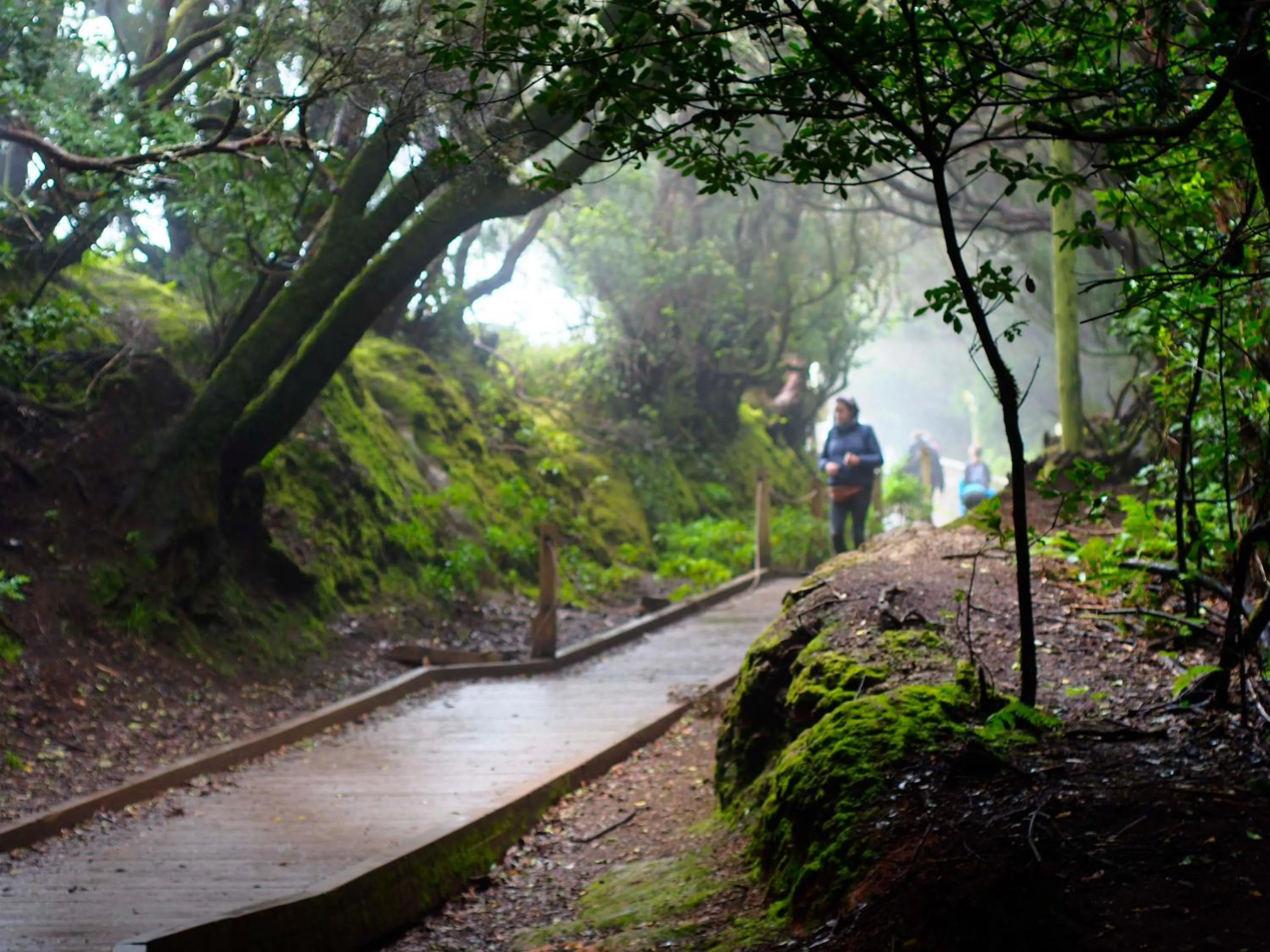 Hiking in Patio Hostel