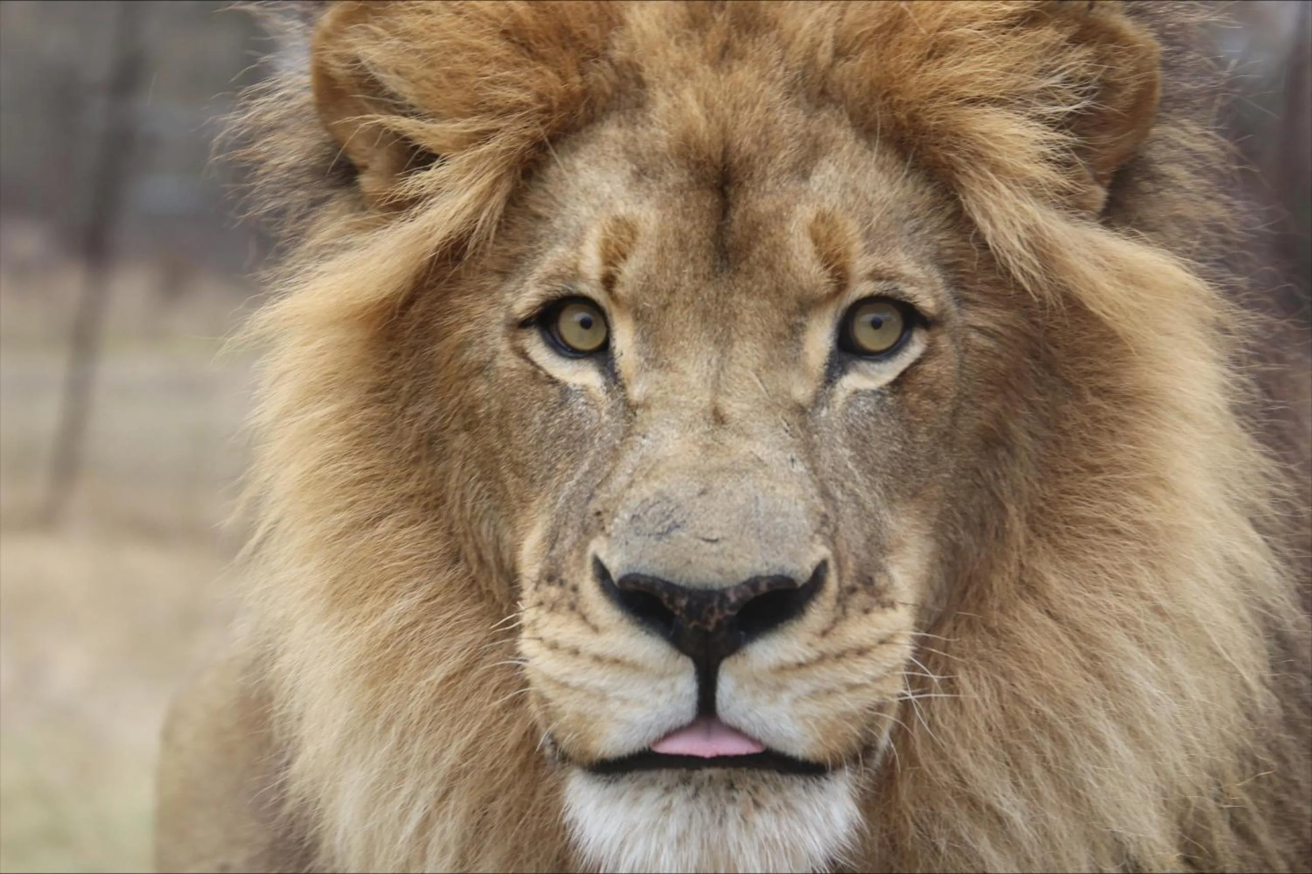 Activities in Kingfisher Creek Safari Lodge