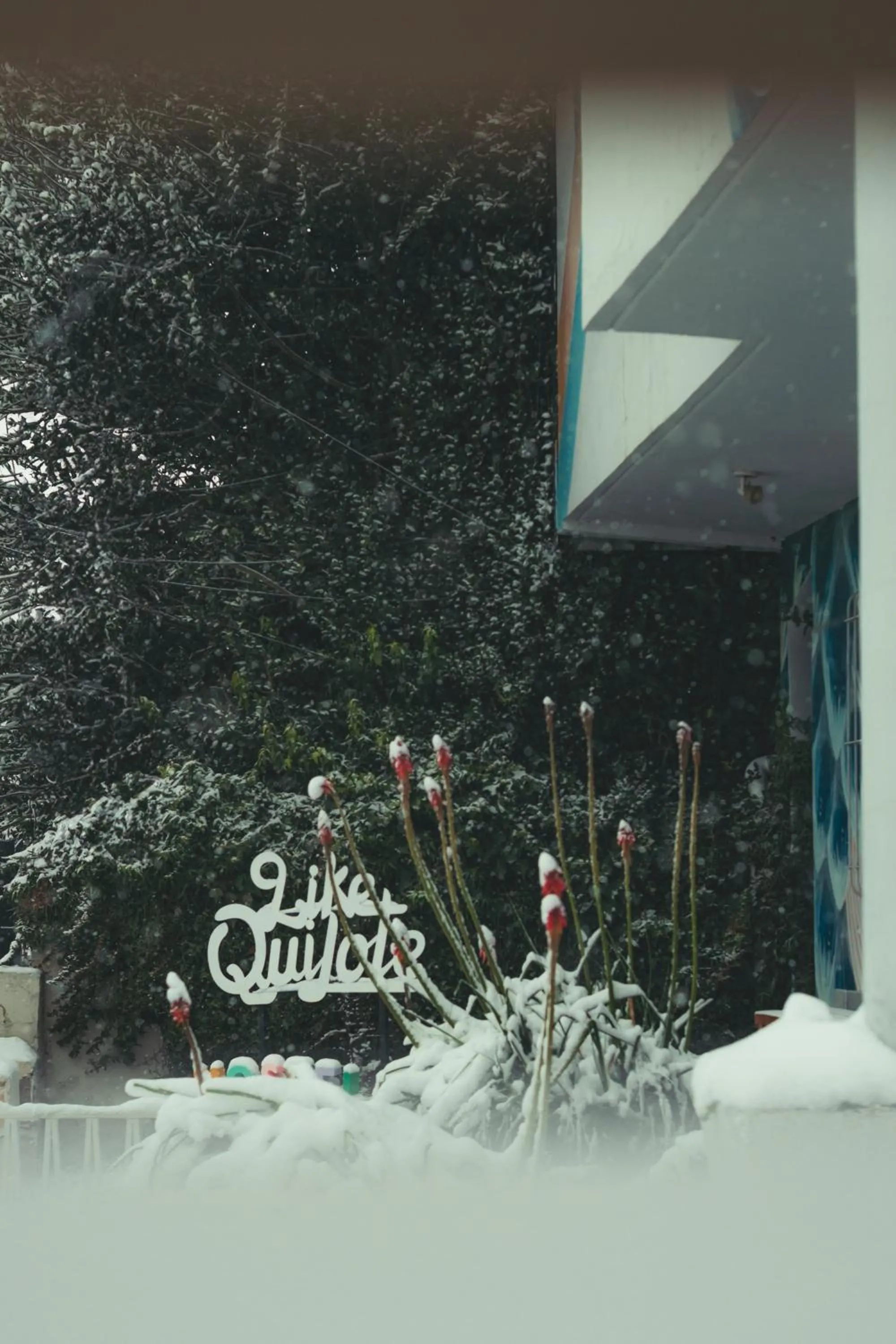 Hostel Like Quijote