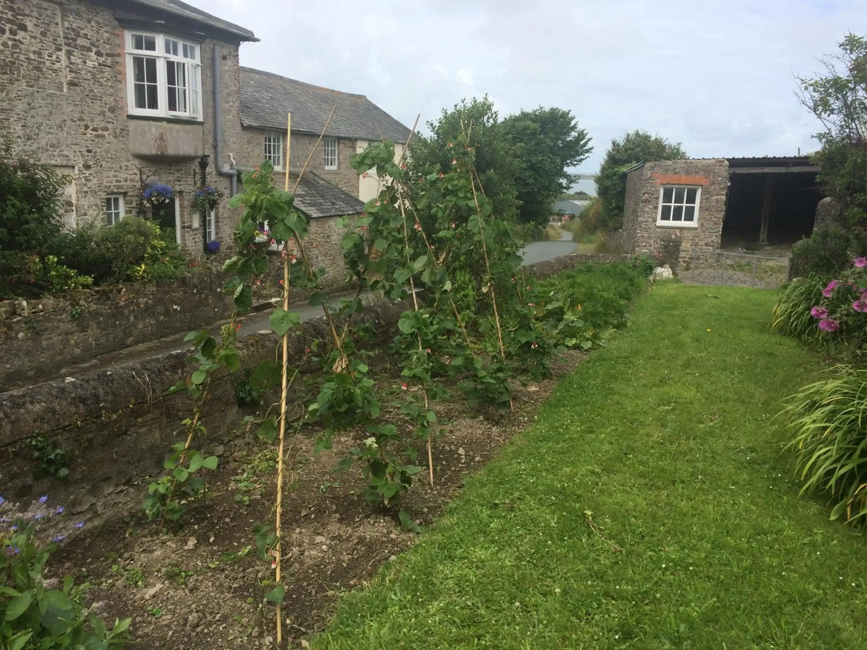 Property building in Instow Barton Property building in Instow Barton