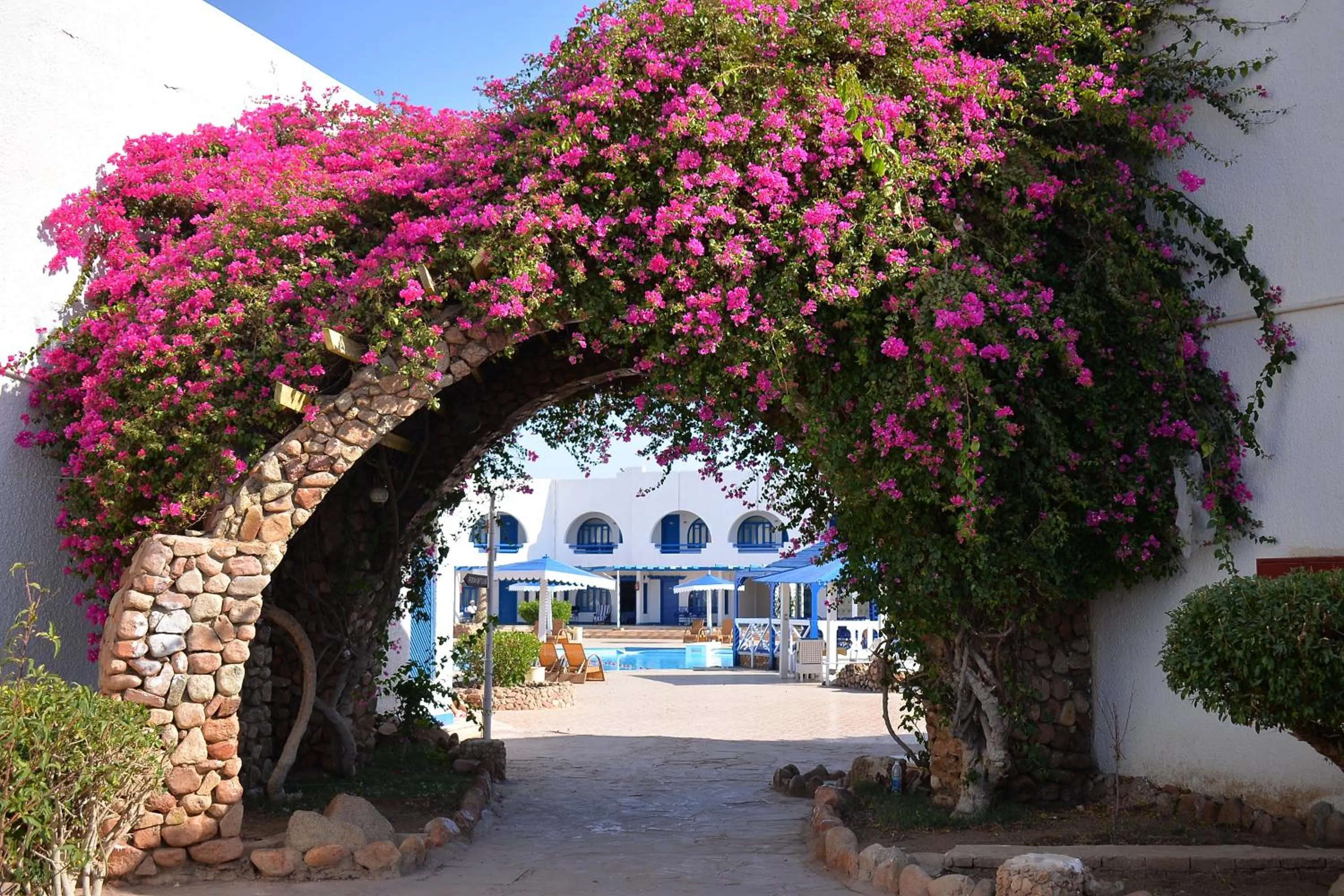 Aida Hotel Sharm El Sheikh