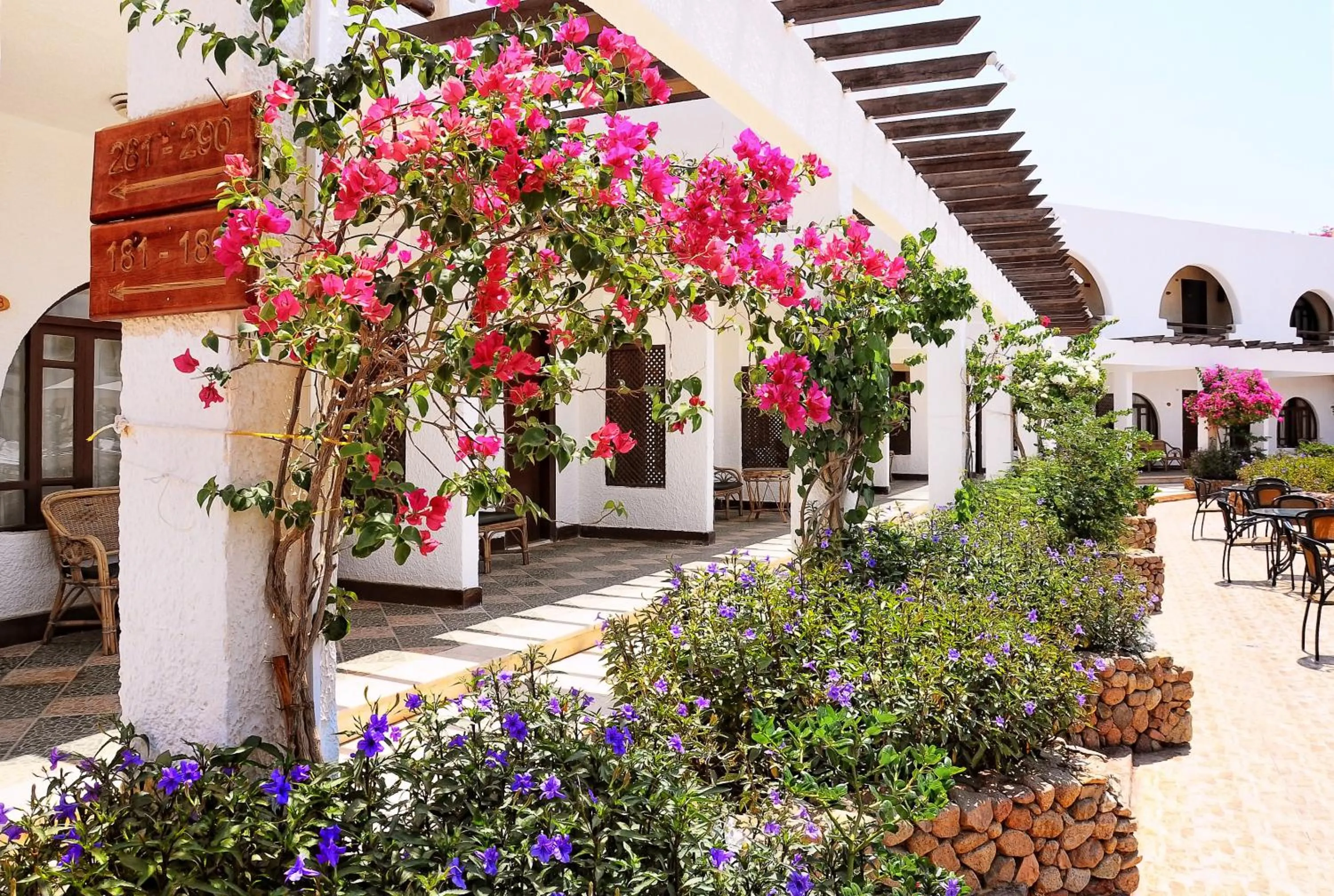 Garden in Aida Hotel Sharm El Sheikh