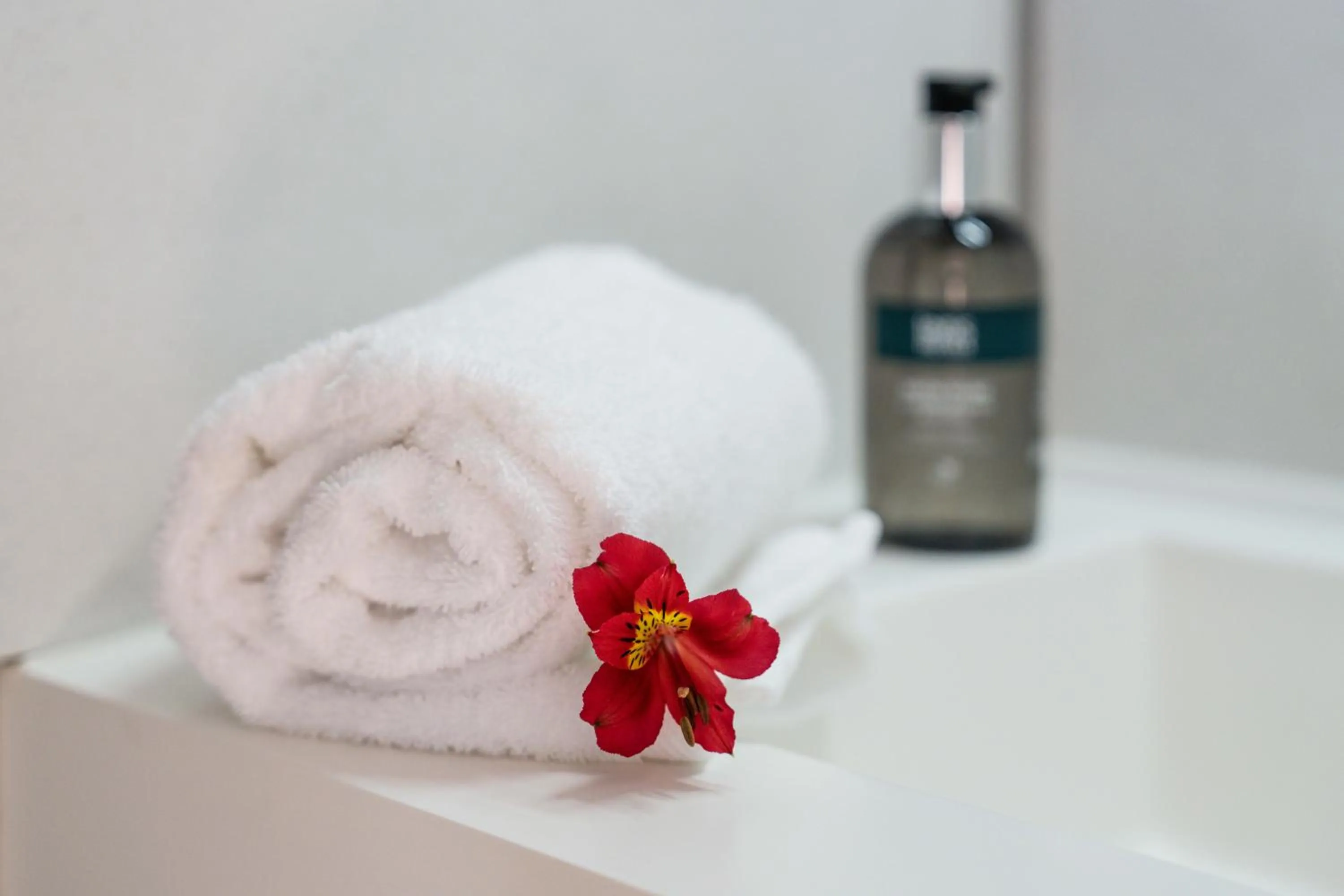 Logis Hôtel Baratxartea