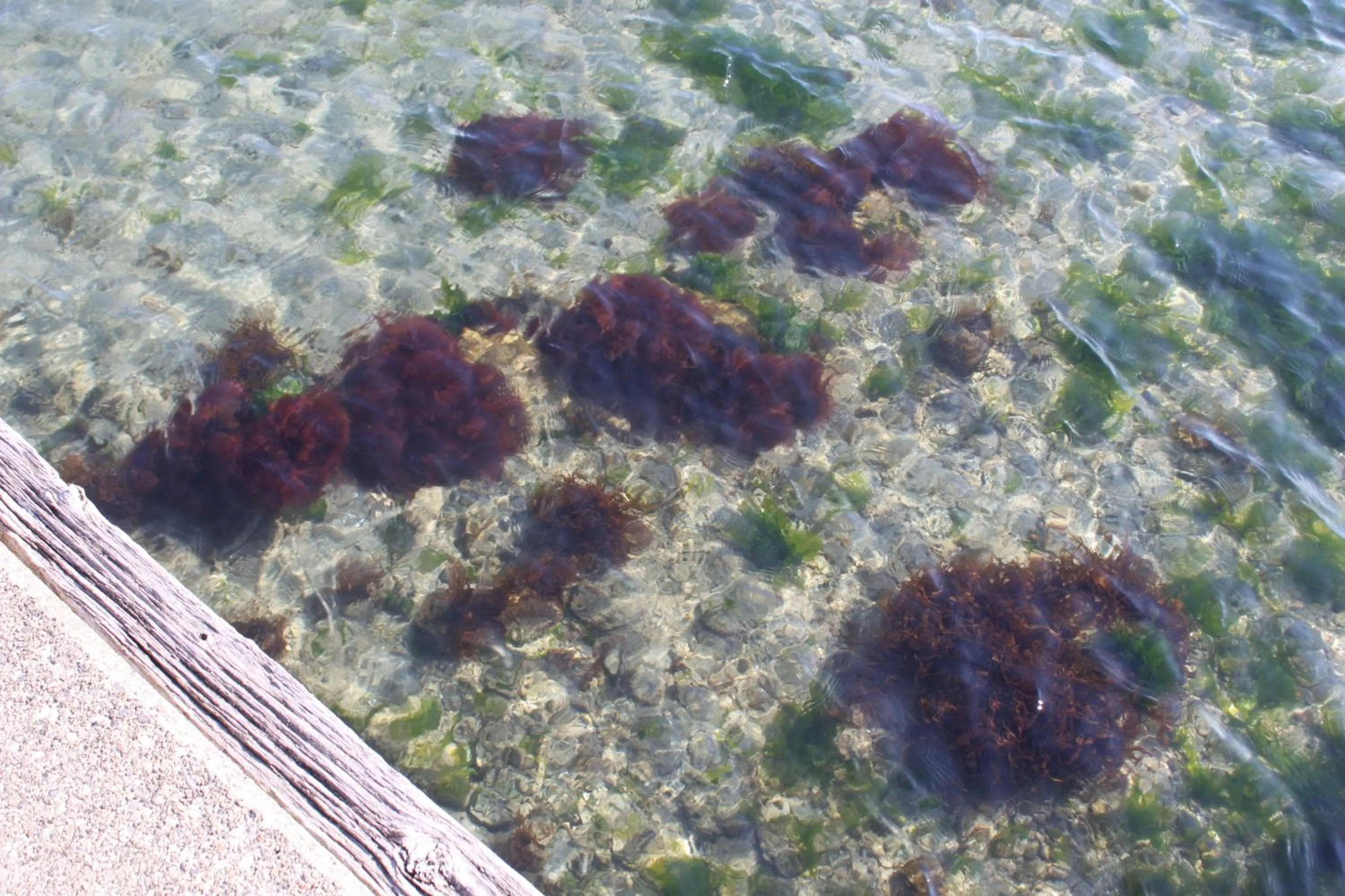 Other in Hotel Green Plaza Hamanako