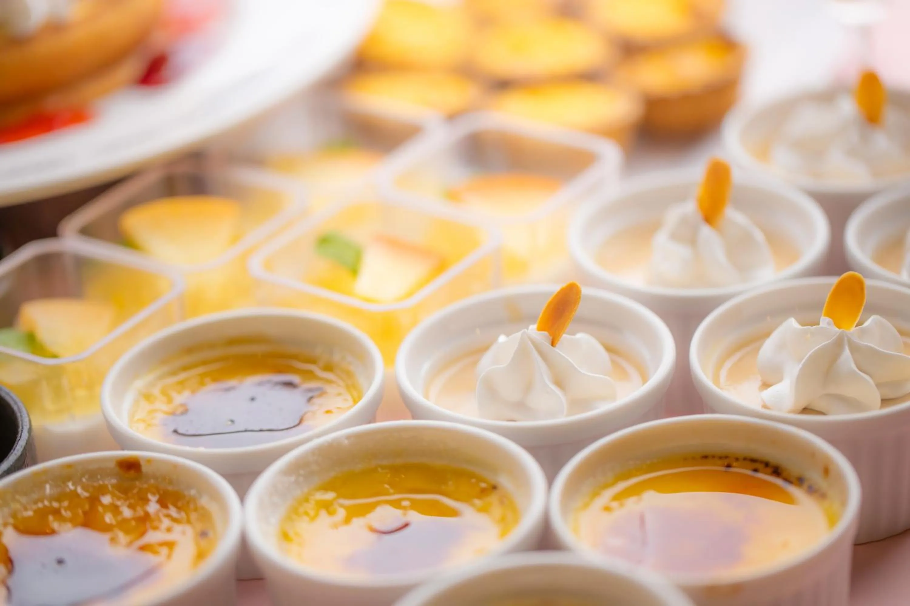 Dinner in Hotel Green Plaza Hamanako