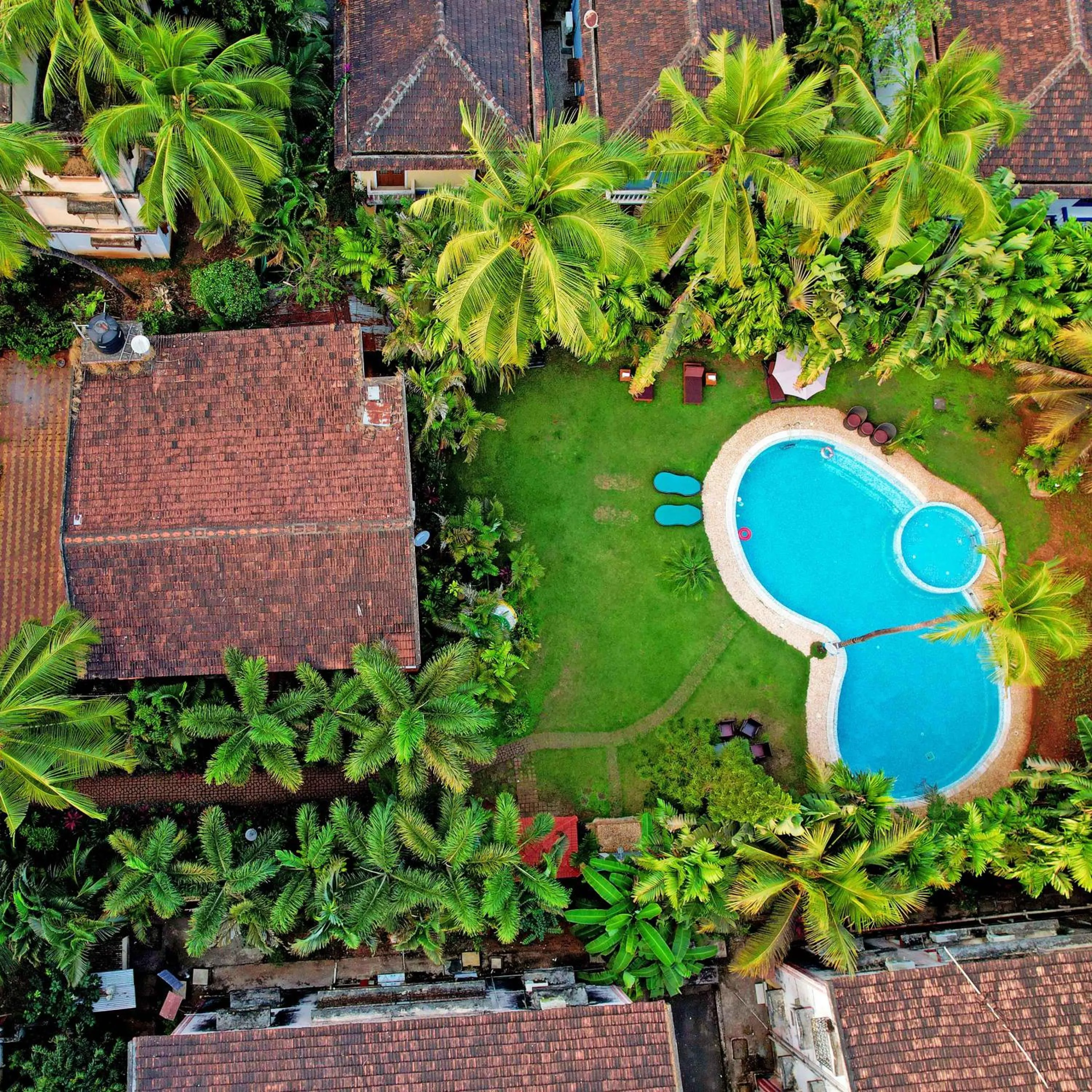 Bird's eye view in Godwin Candolim,Goa
