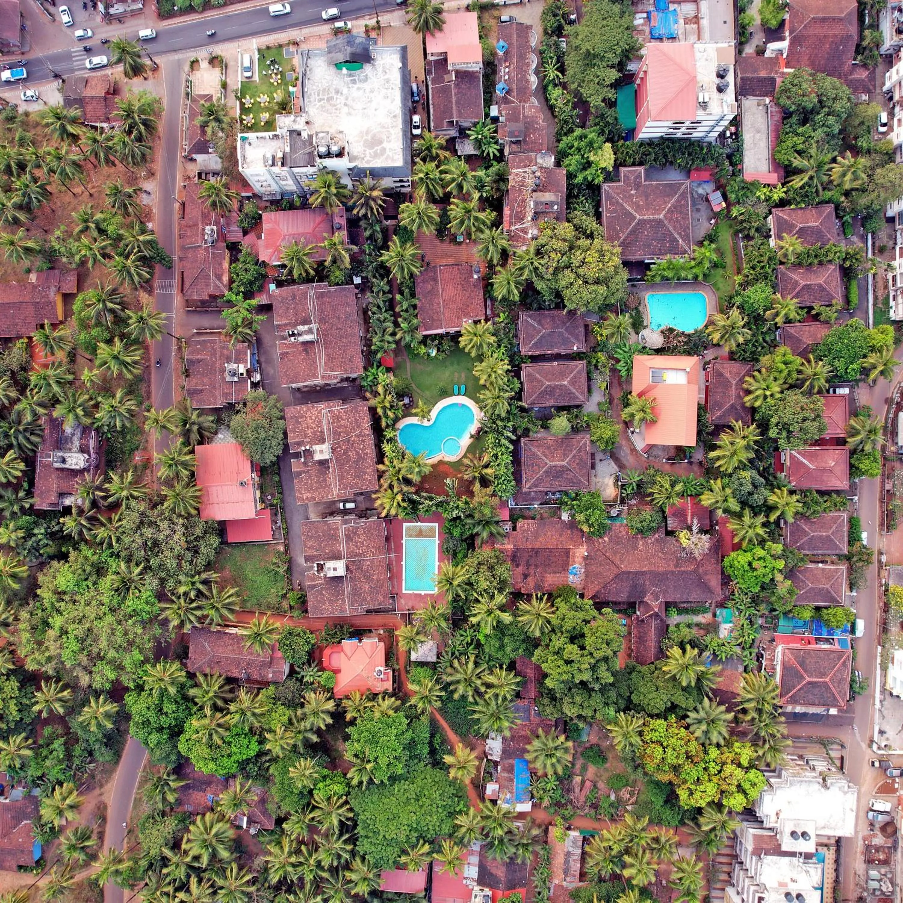 Neighbourhood in Godwin Candolim,Goa