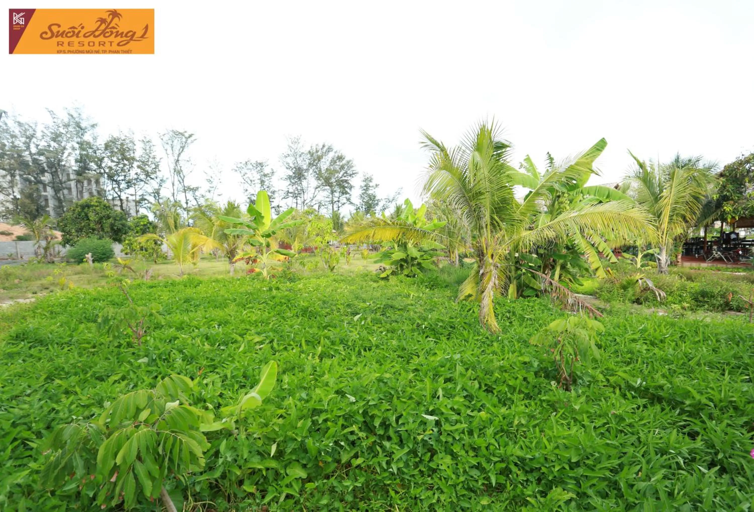 Suoi Hong Resort