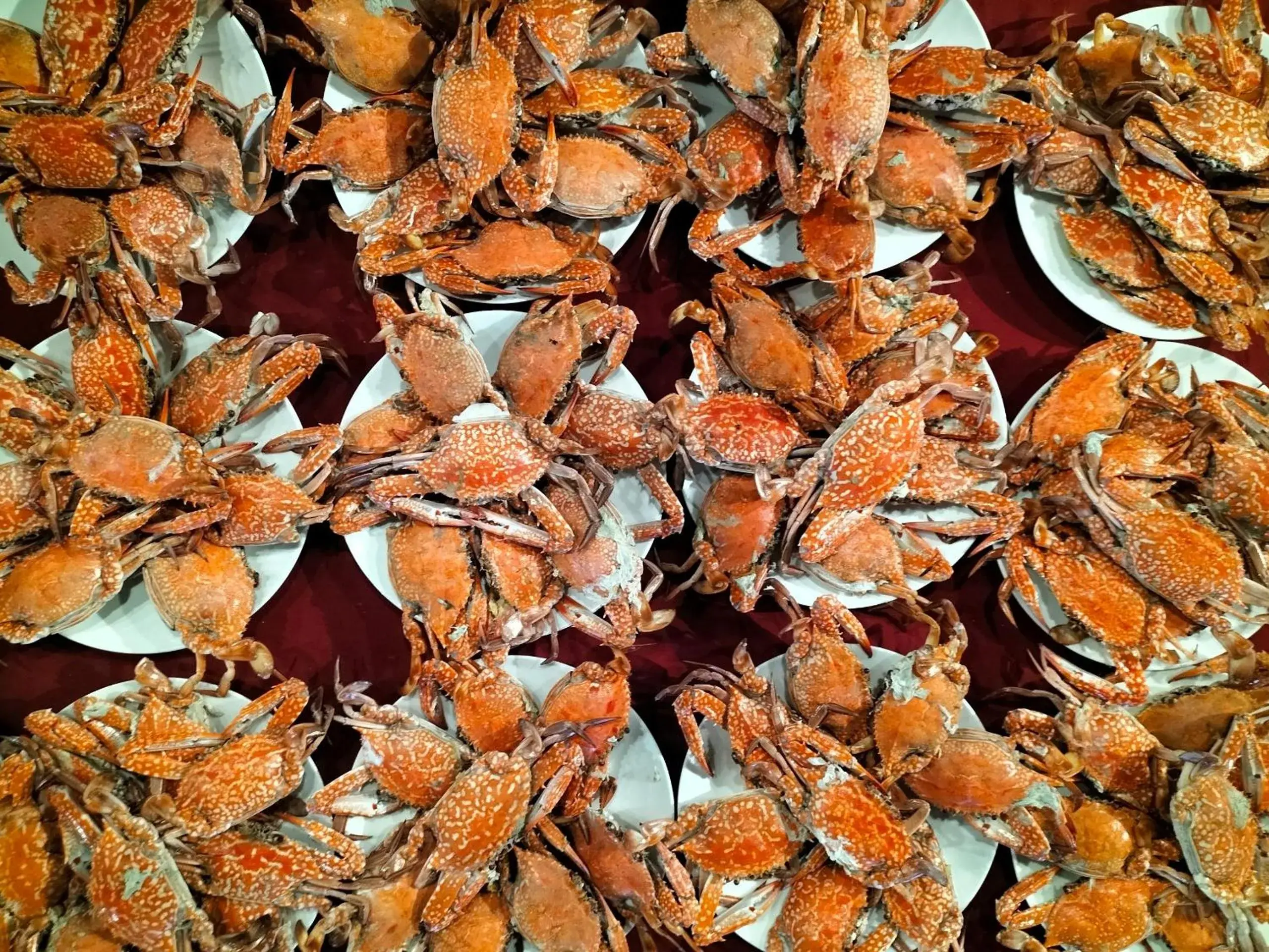 Restaurant/places to eat in Suoi Hong Resort Restaurant/places to eat in Suoi Hong Resort