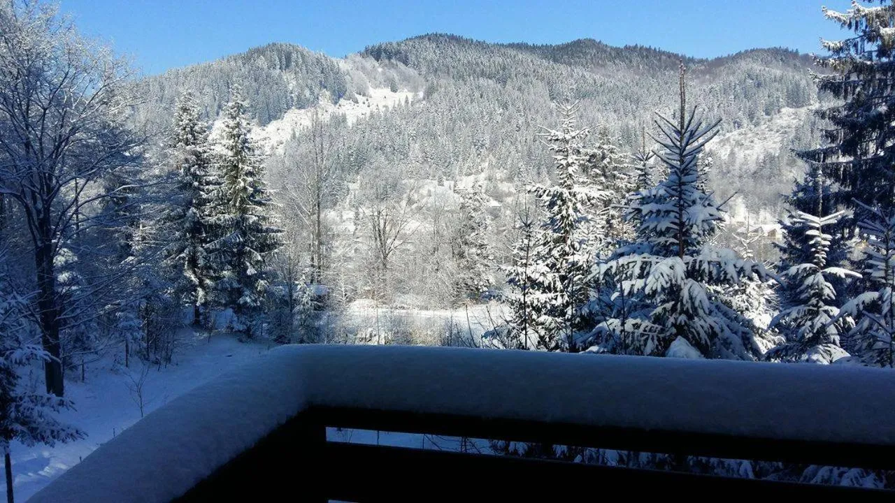 Day in Șoaptele pădurii & Căsuța din pădure