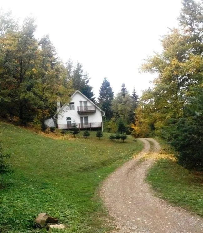 Day in Șoaptele pădurii & Căsuța din pădure
