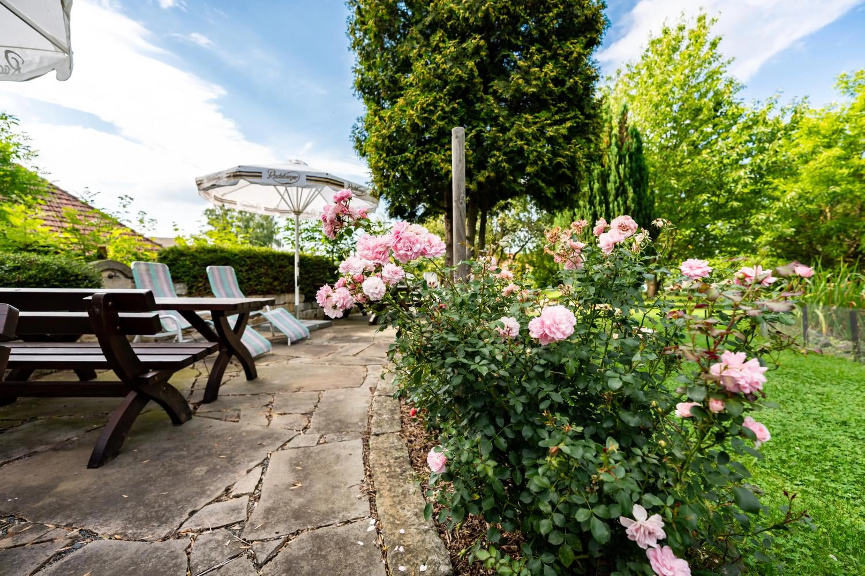 Garden in Hotel Zur Post