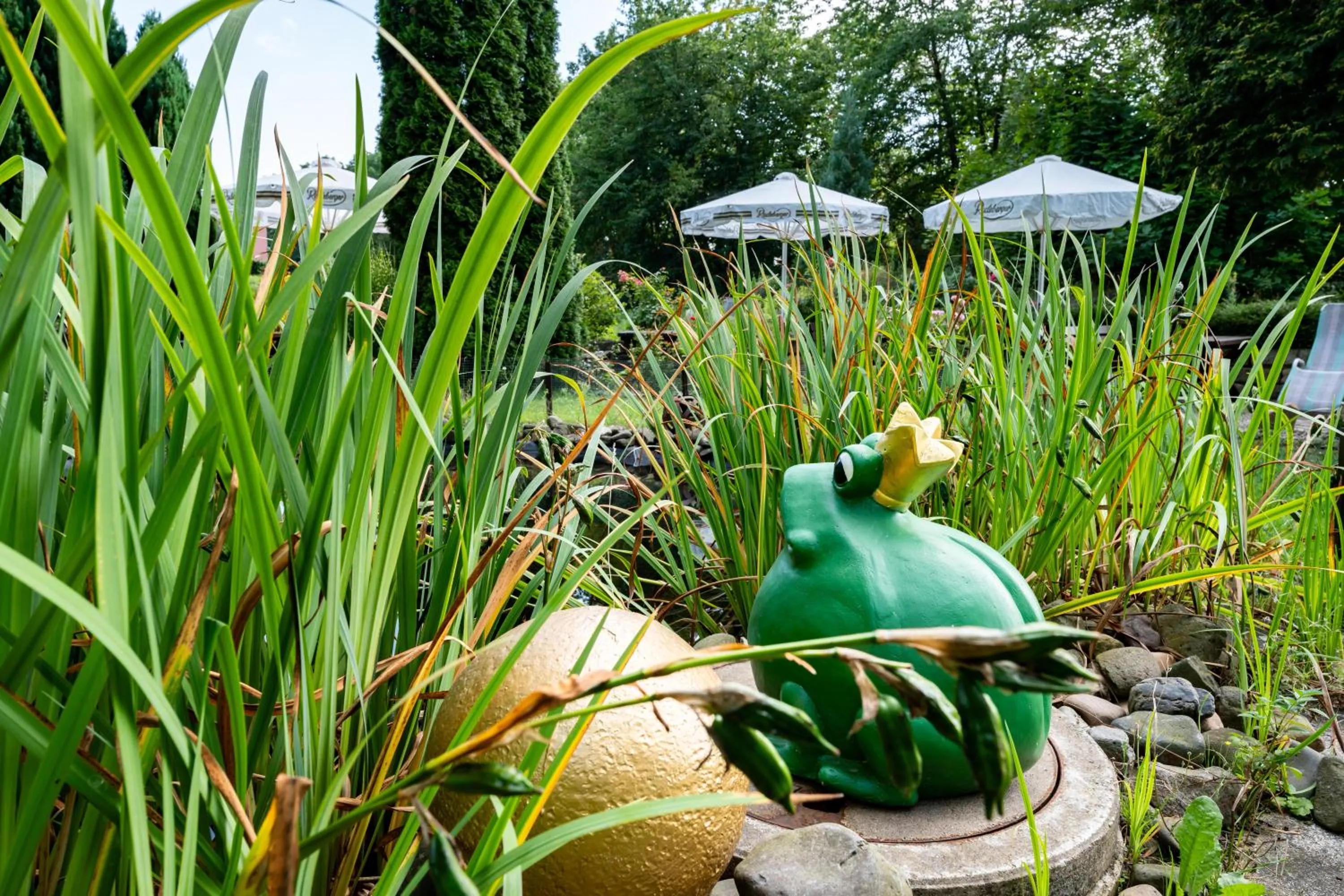 Garden in Hotel Zur Post