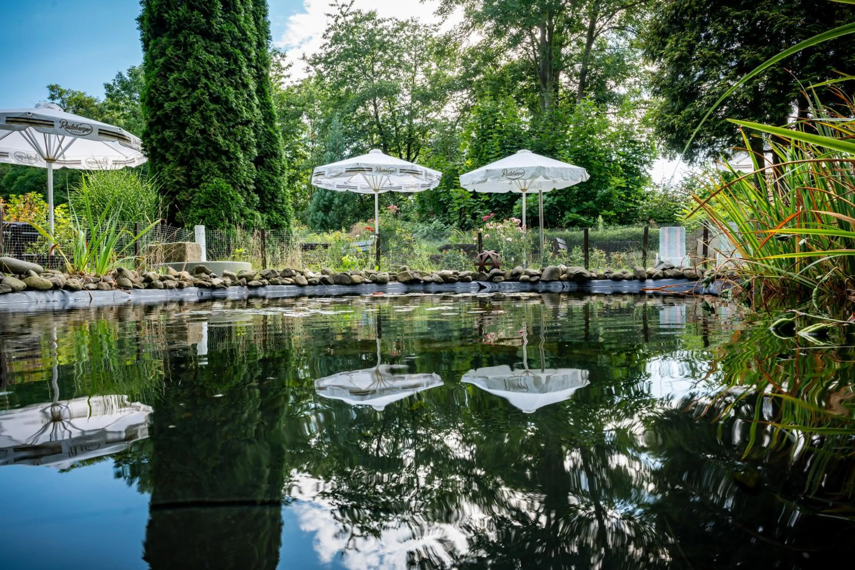 Garden in Hotel Zur Post