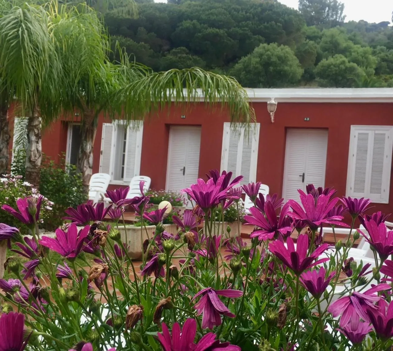 Property building in Hotel La Peña