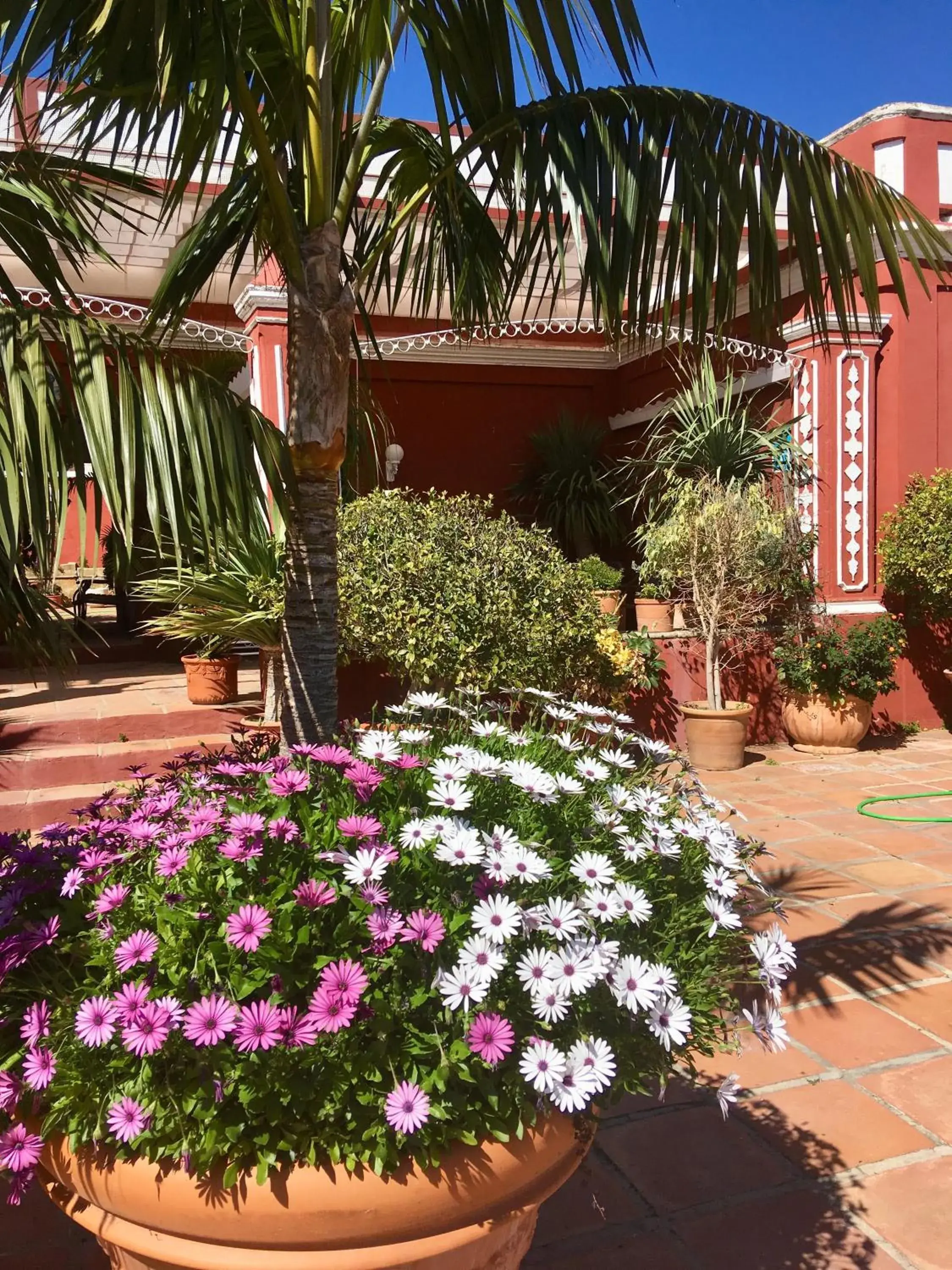Balcony/Terrace, Garden in Hotel La Peña