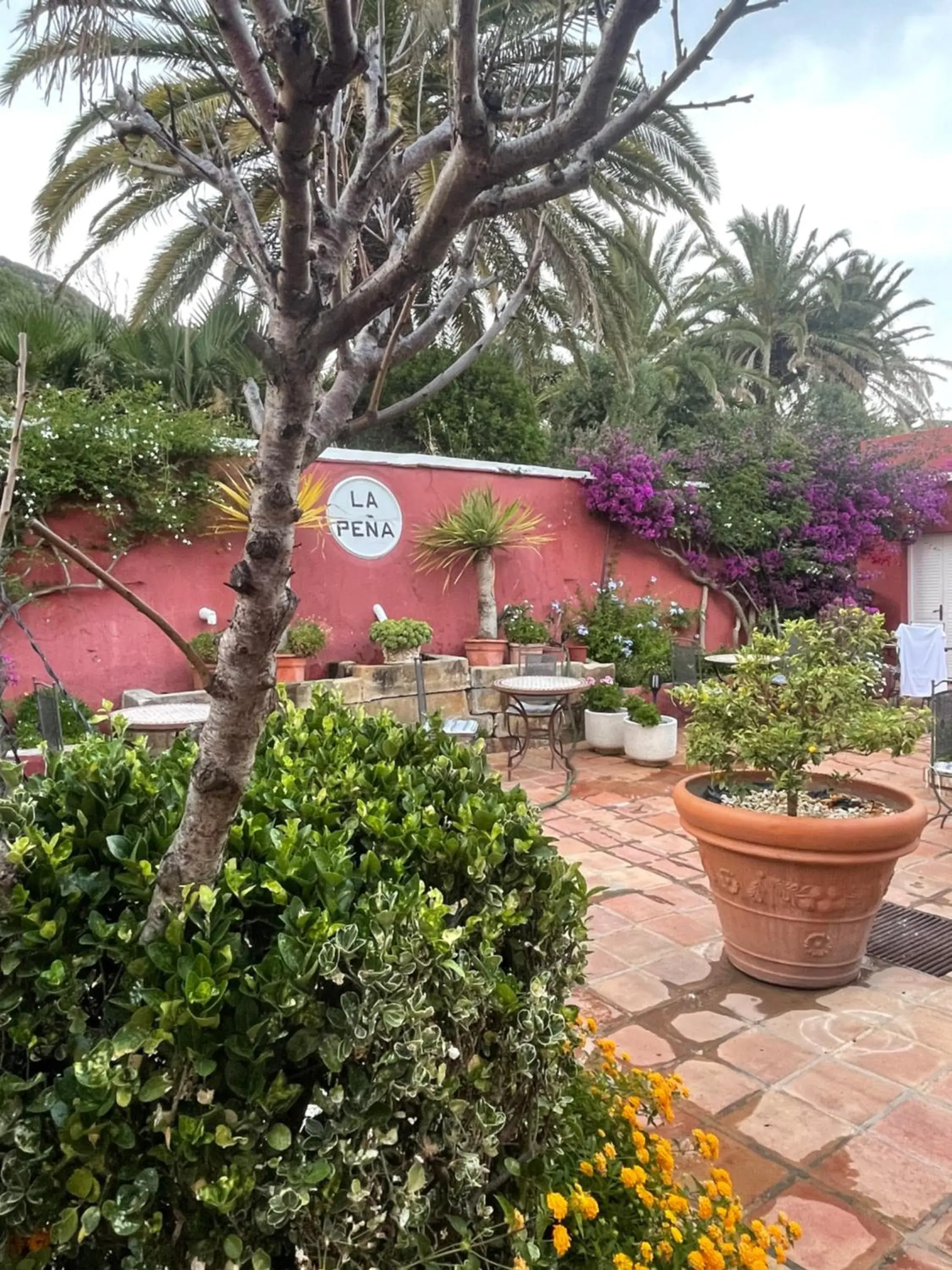 Patio in Hotel La Peña