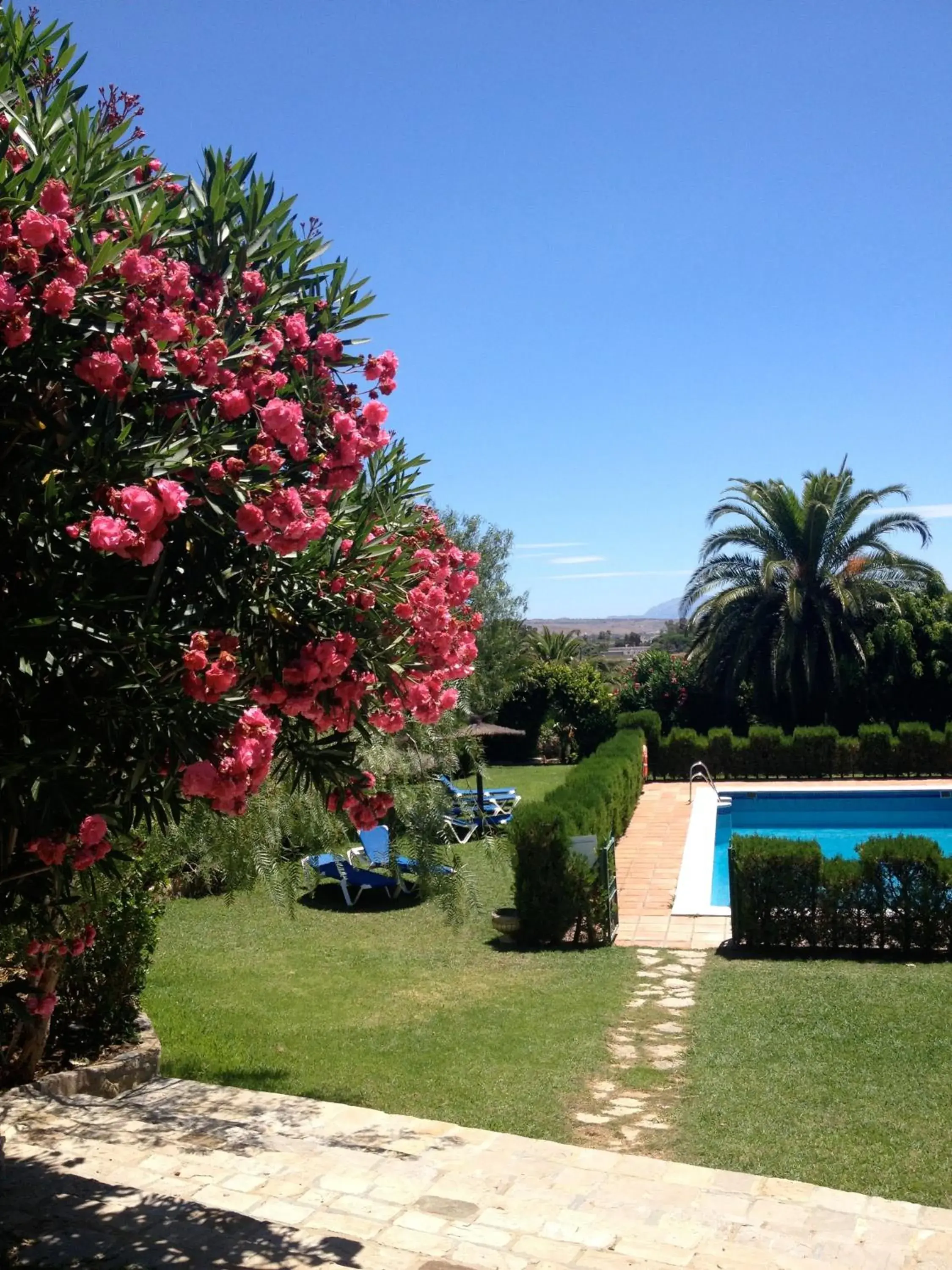 Swimming pool, Garden in Hotel La Peña