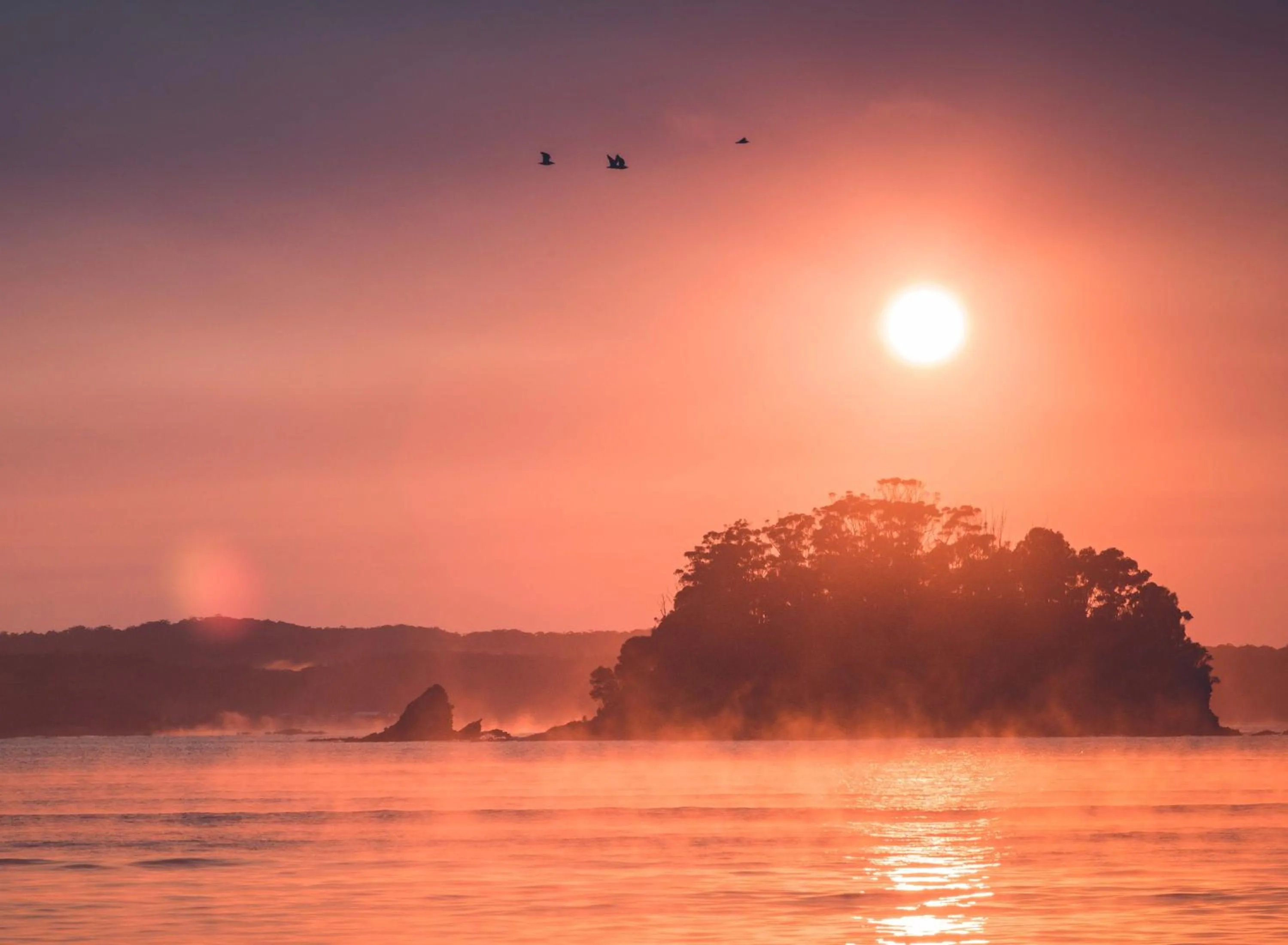 Natural landscape in Clyde View Holiday Park