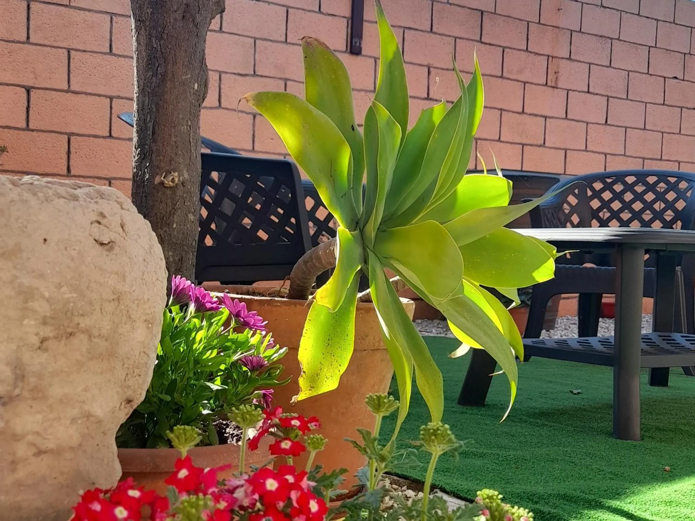 Garden in Su Fassoi Cabras