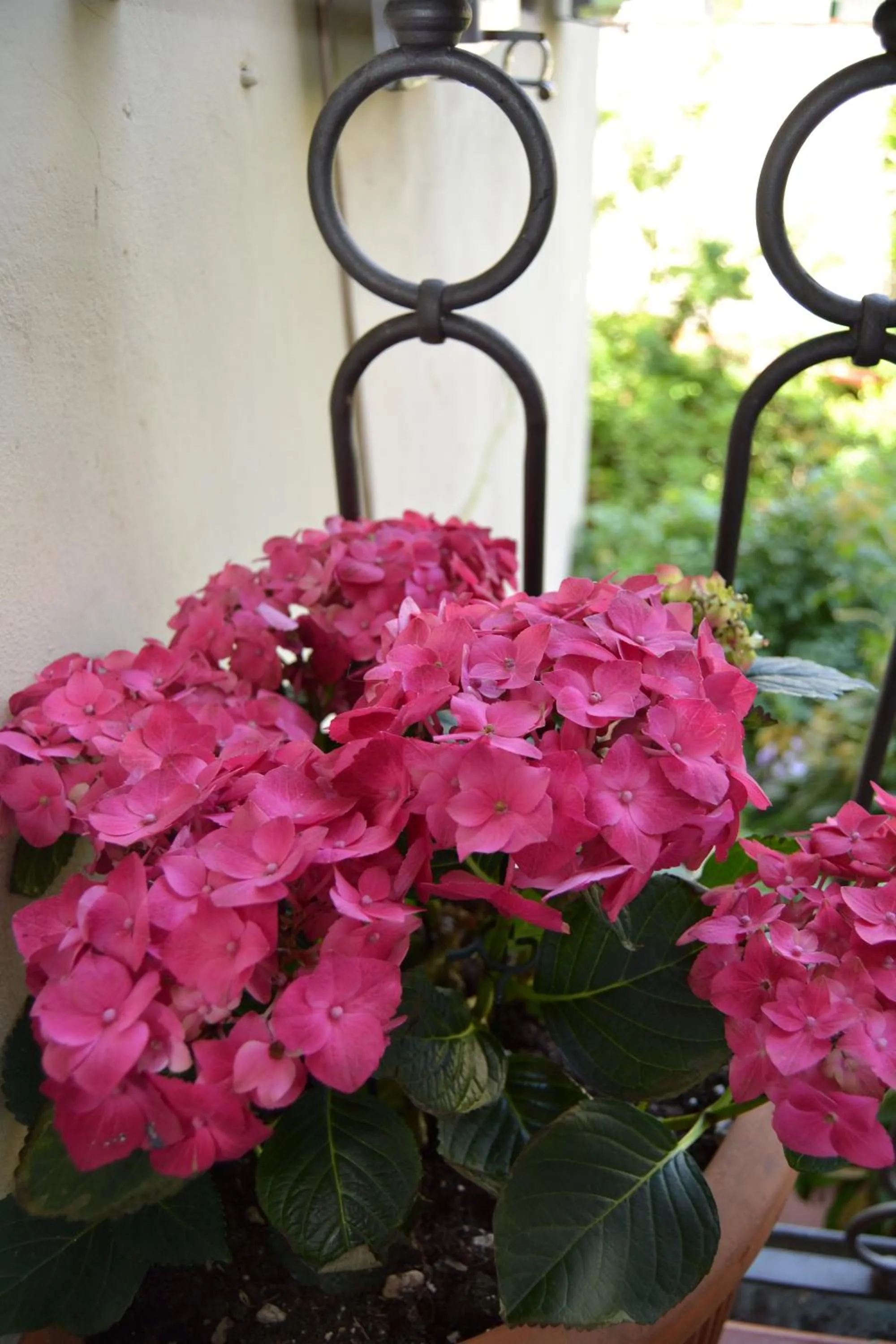 Balcony/Terrace in Chez Moi B&B