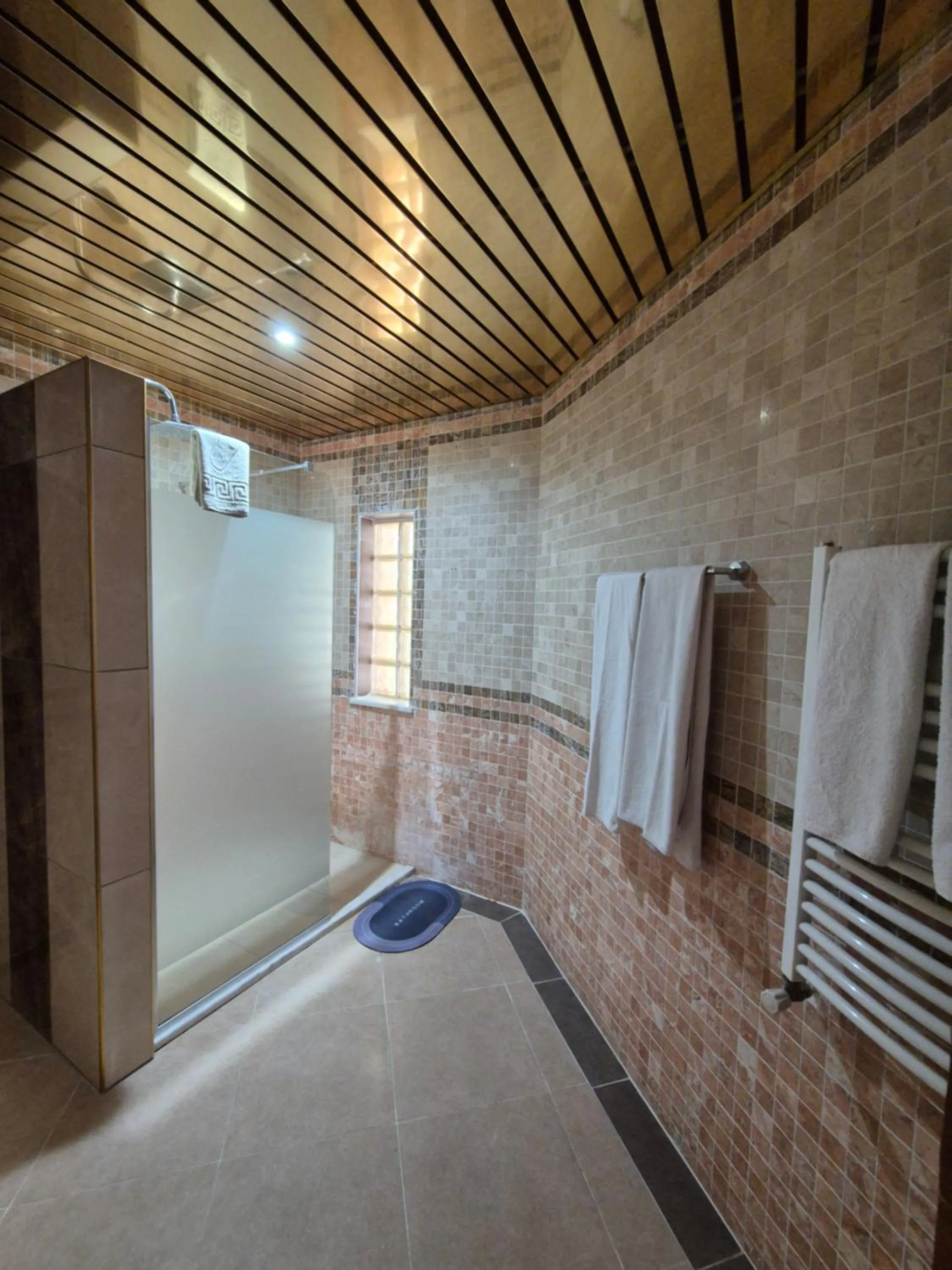 Shower in Dinara Apart Hotel