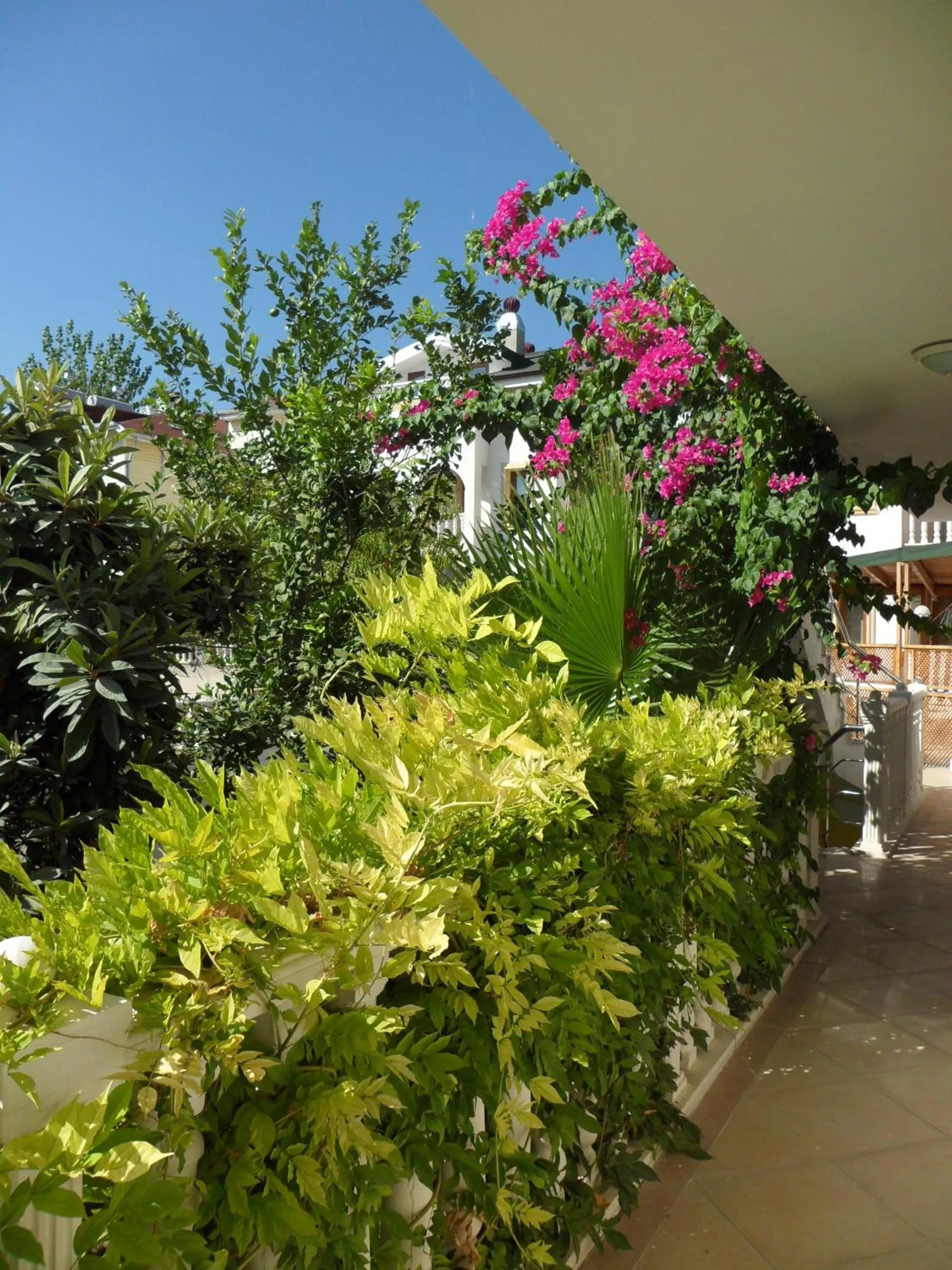 Other in Dinara Apart Hotel