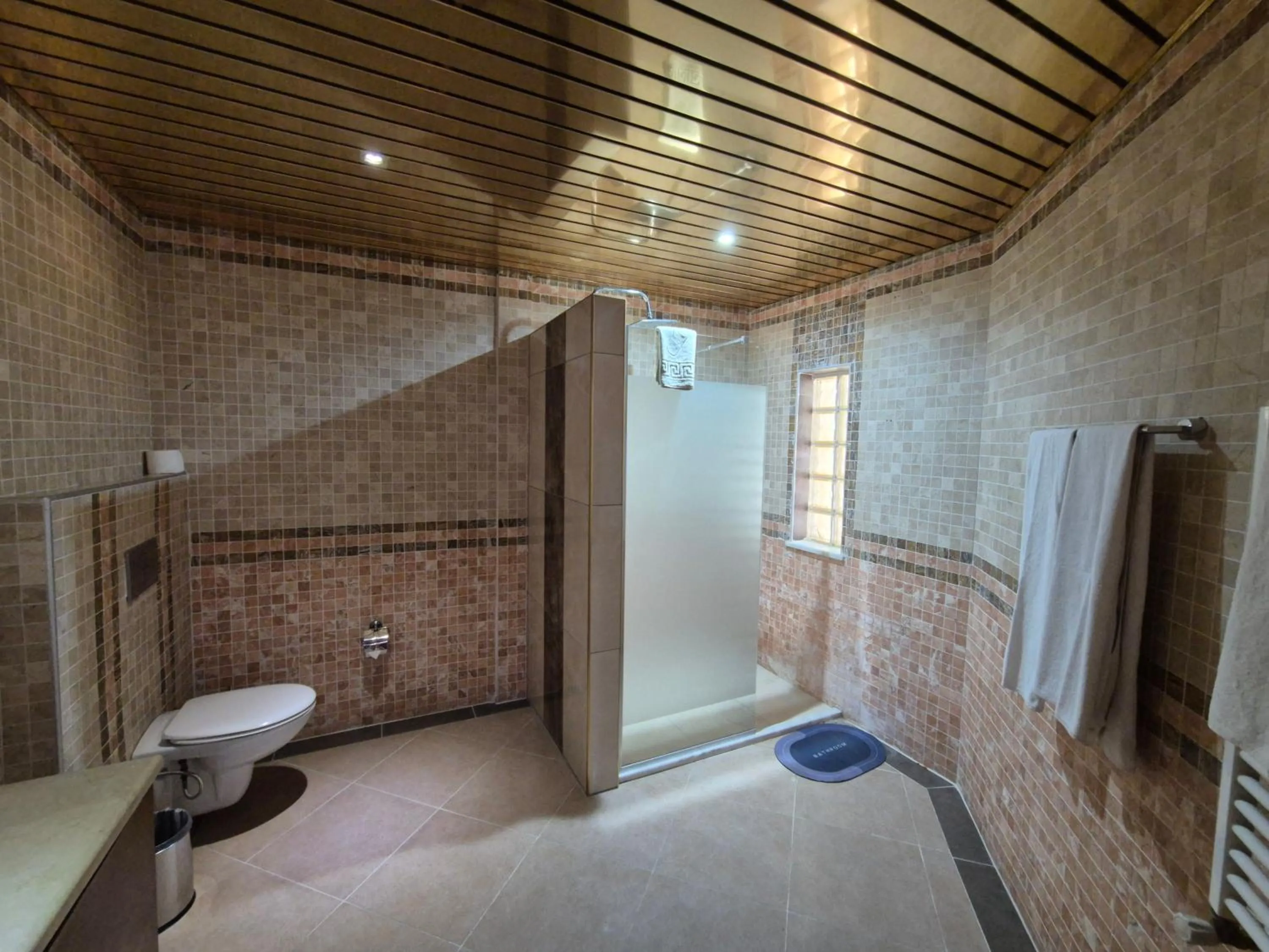 Shower in Dinara Apart Hotel