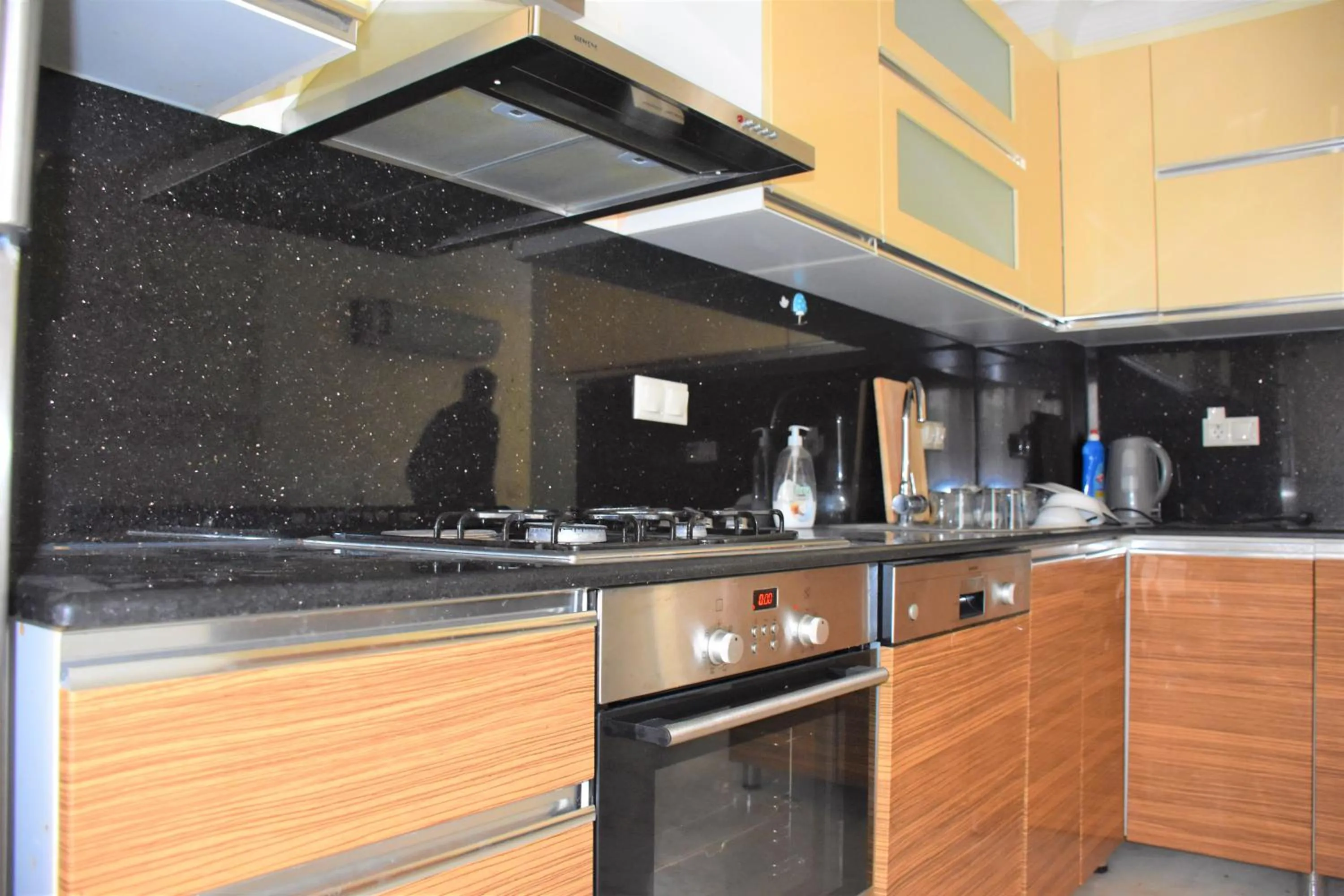 Kitchen or kitchenette in Dinara Apart Hotel
