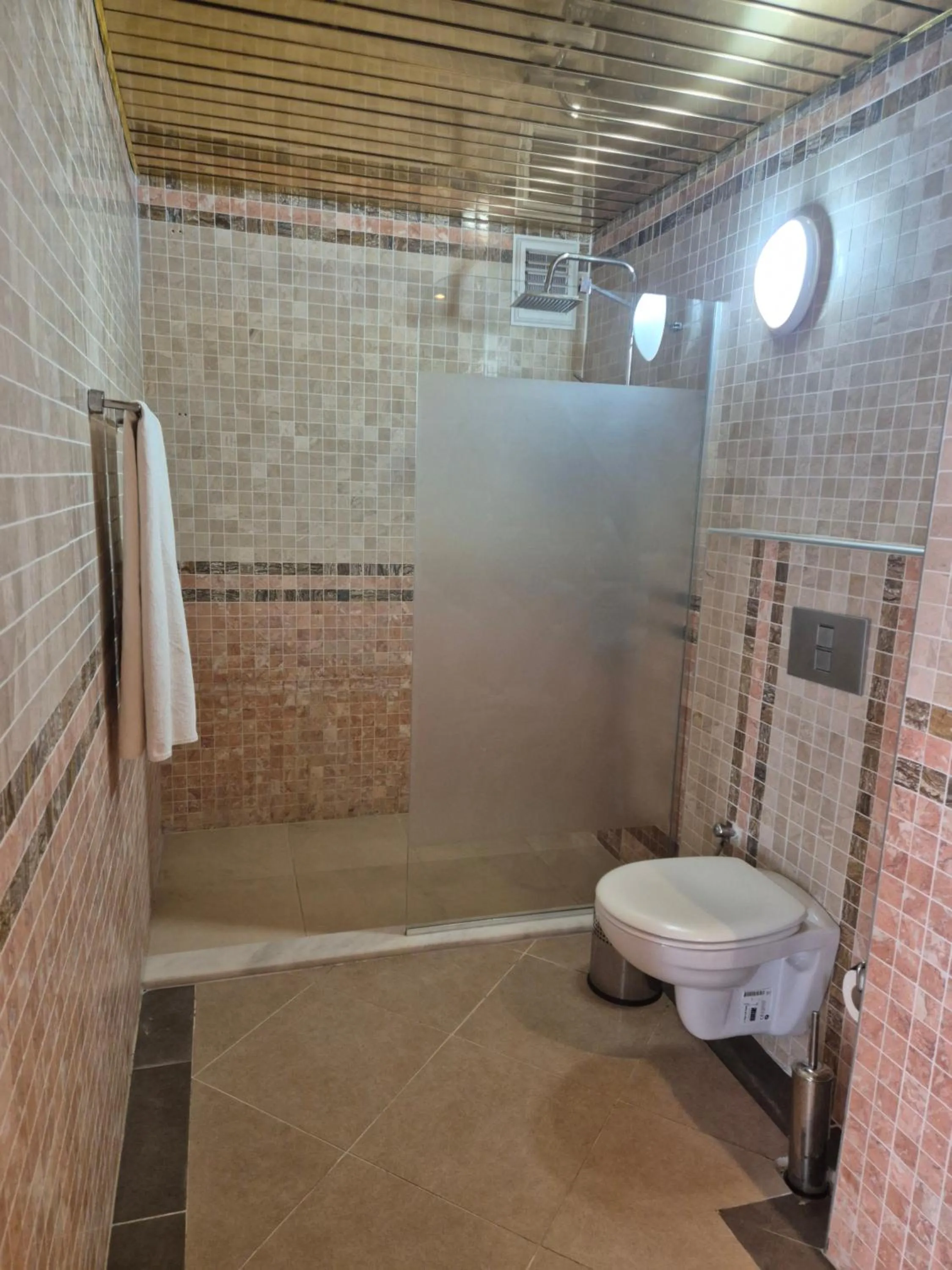 Shower in Dinara Apart Hotel