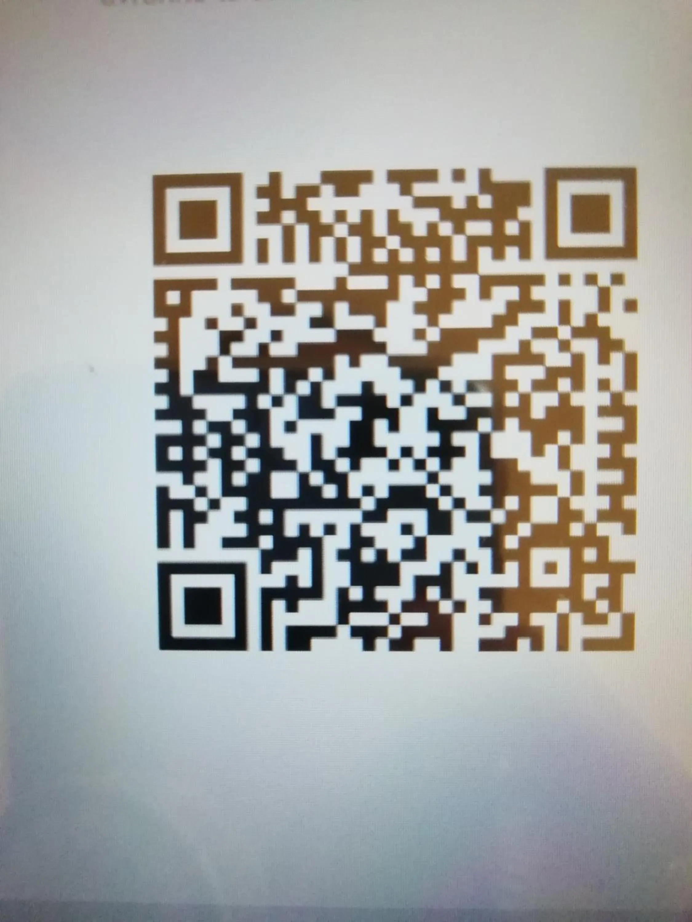 Meltin' Rome Guest House