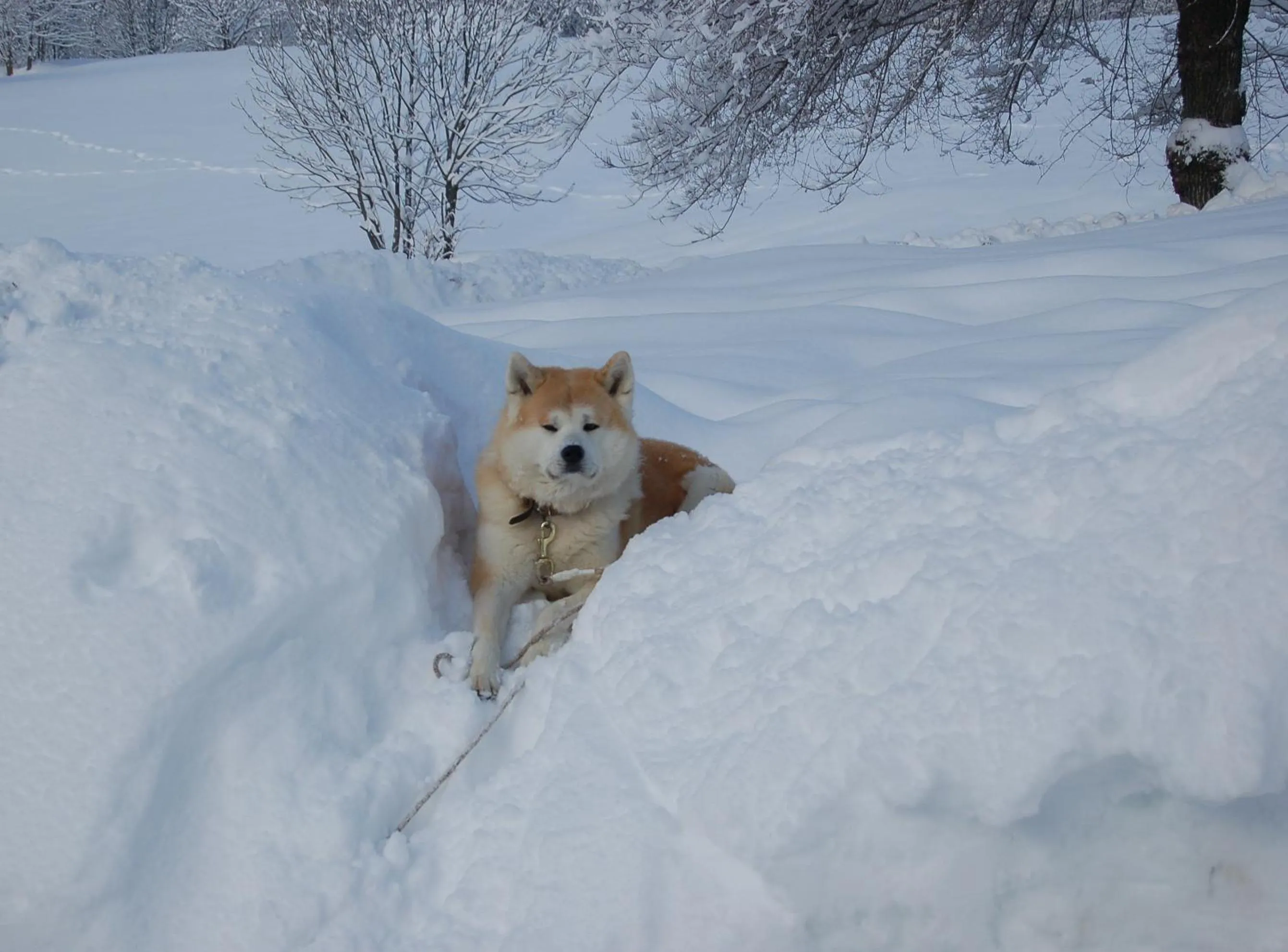 Winter in Residence Foyer D'Antan