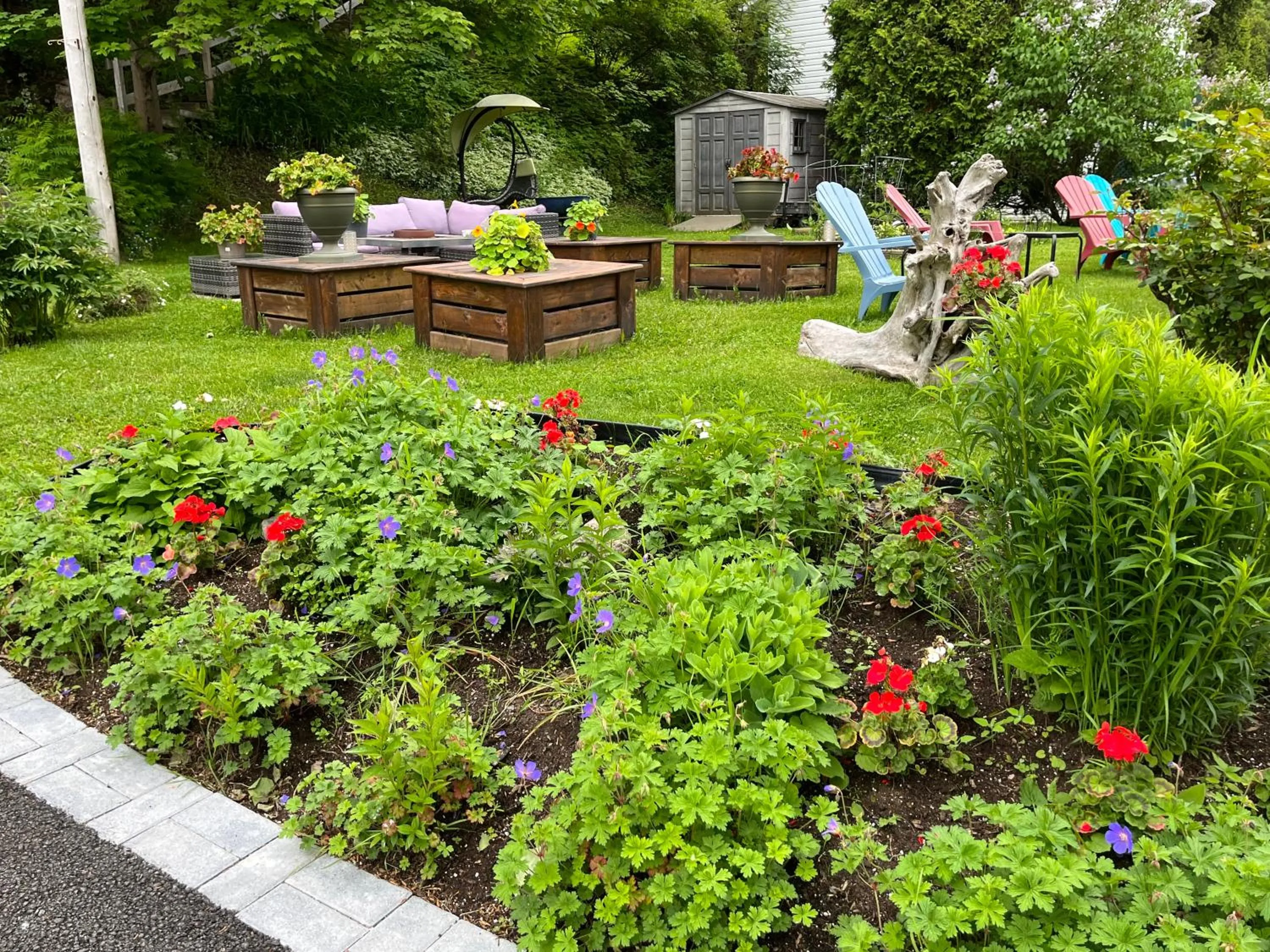 Garden in Gite Chute Couette Cafe