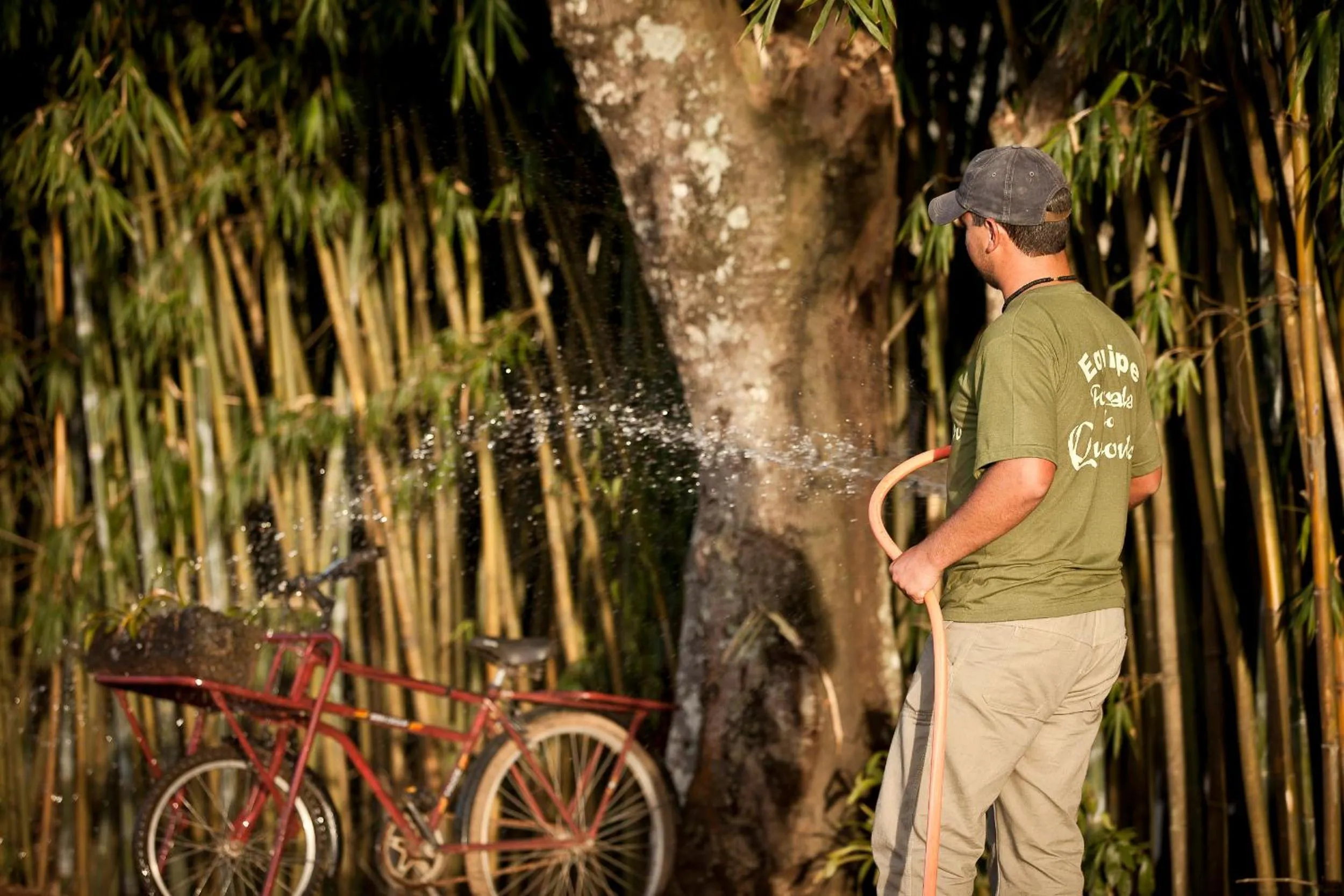 Garden view in Pousada do Quilombo
